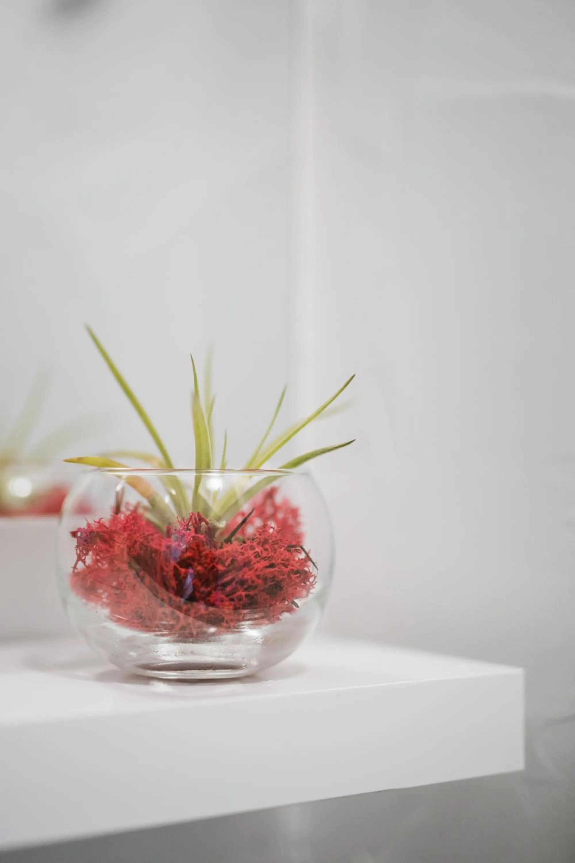 Decorative detail in Villa Borgo B&B