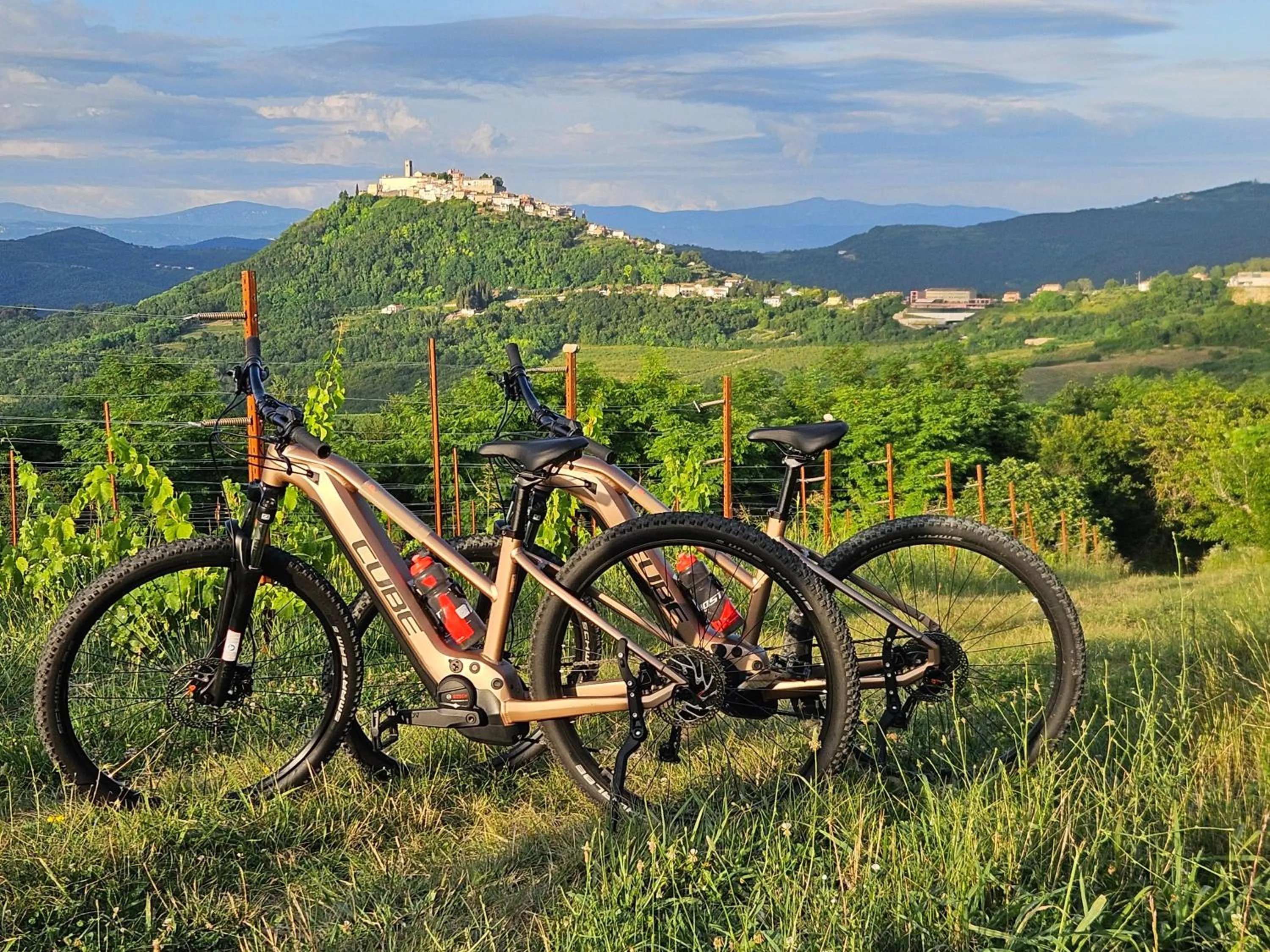 Day in Villa Borgo B&B