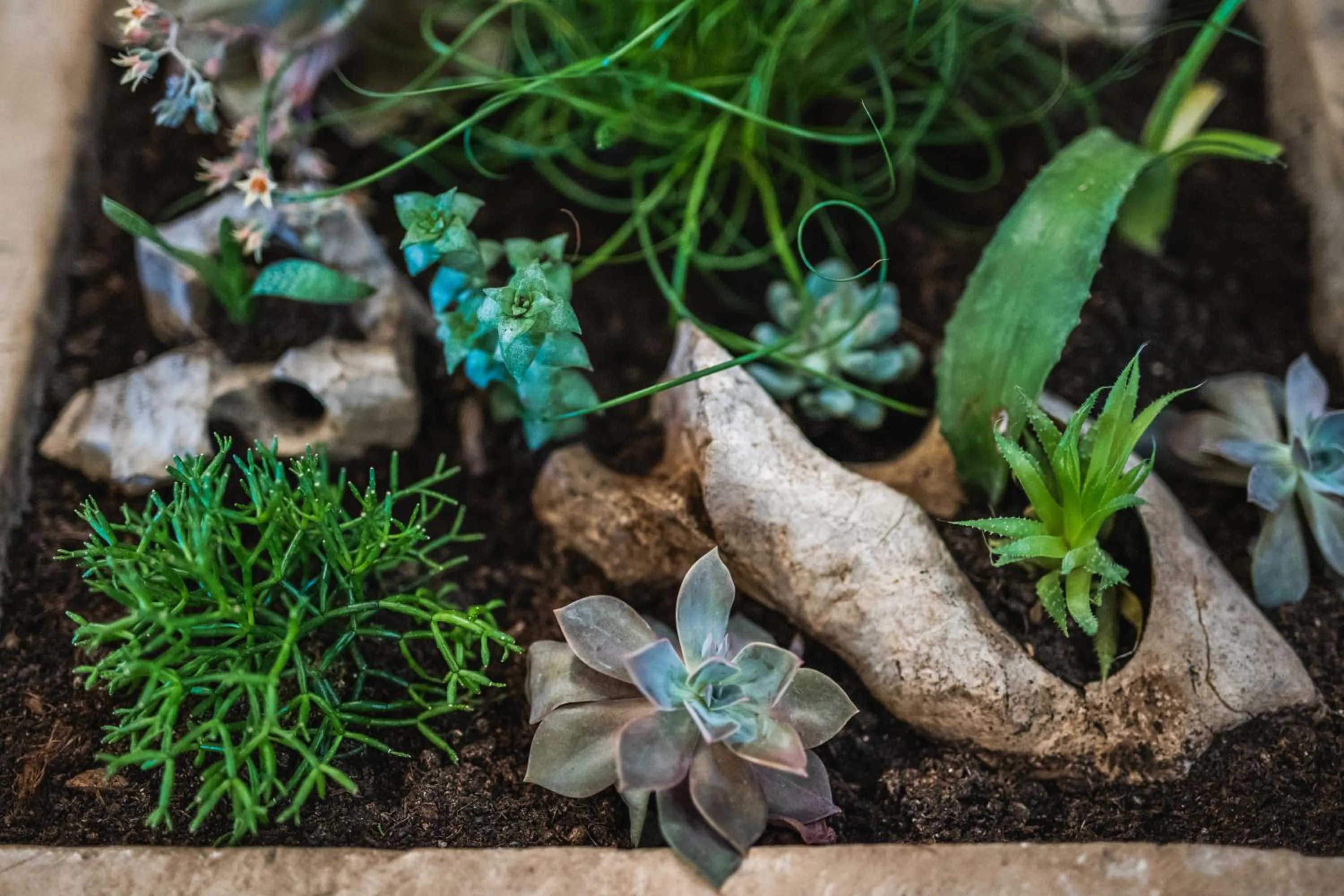 Lobby or reception in Villa Borgo B&B