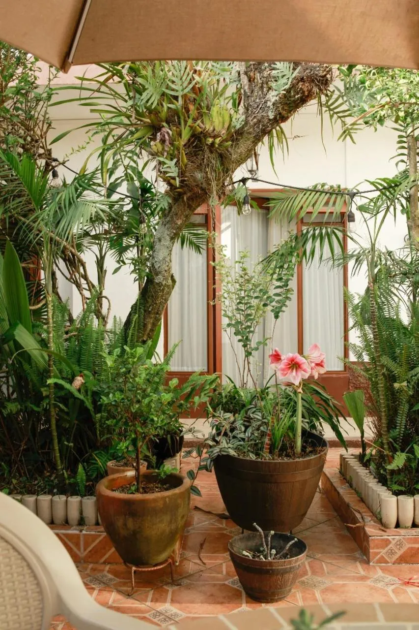 Garden in Posada Galeria Alberto Sedas