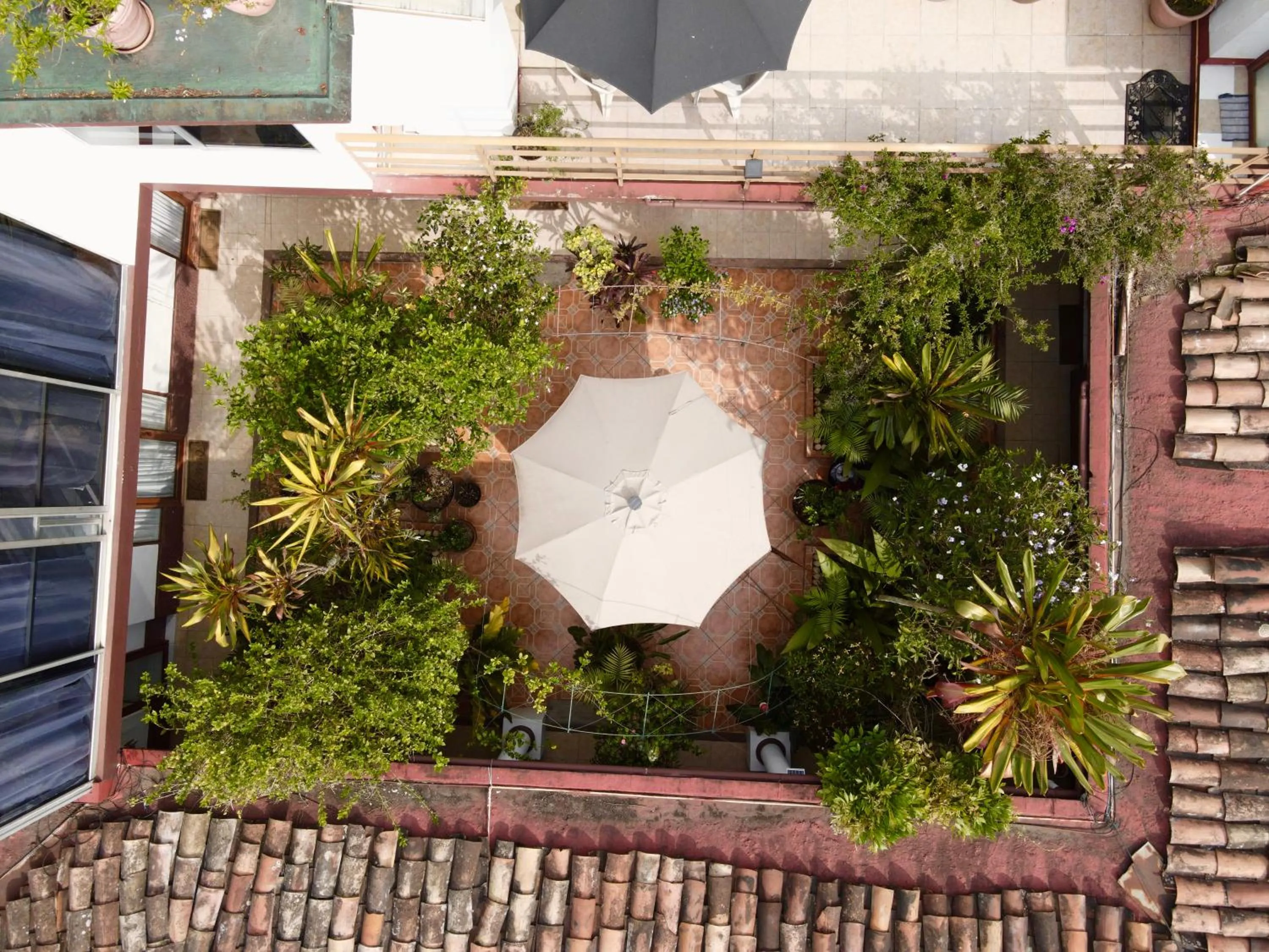 Garden in Posada Galeria Alberto Sedas