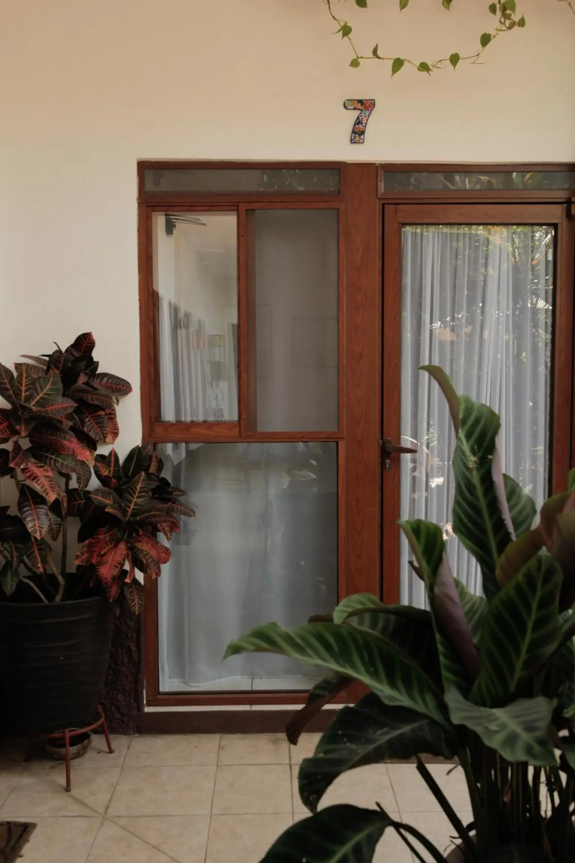 Single Room - single occupancy in Posada Galeria Alberto Sedas Single Room - single occupancy in Posada Galeria Alberto Sedas