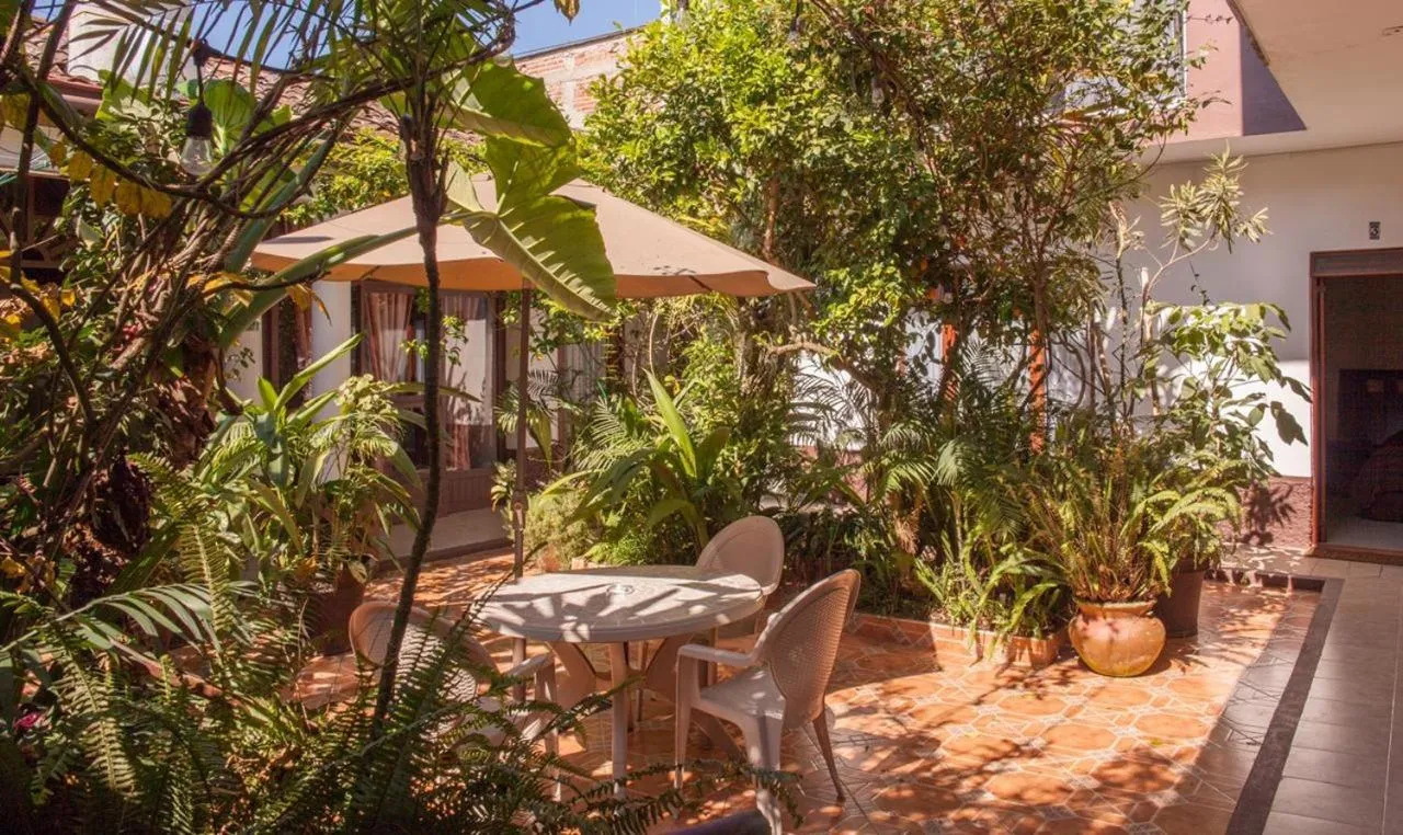 Garden in Posada Galeria Alberto Sedas