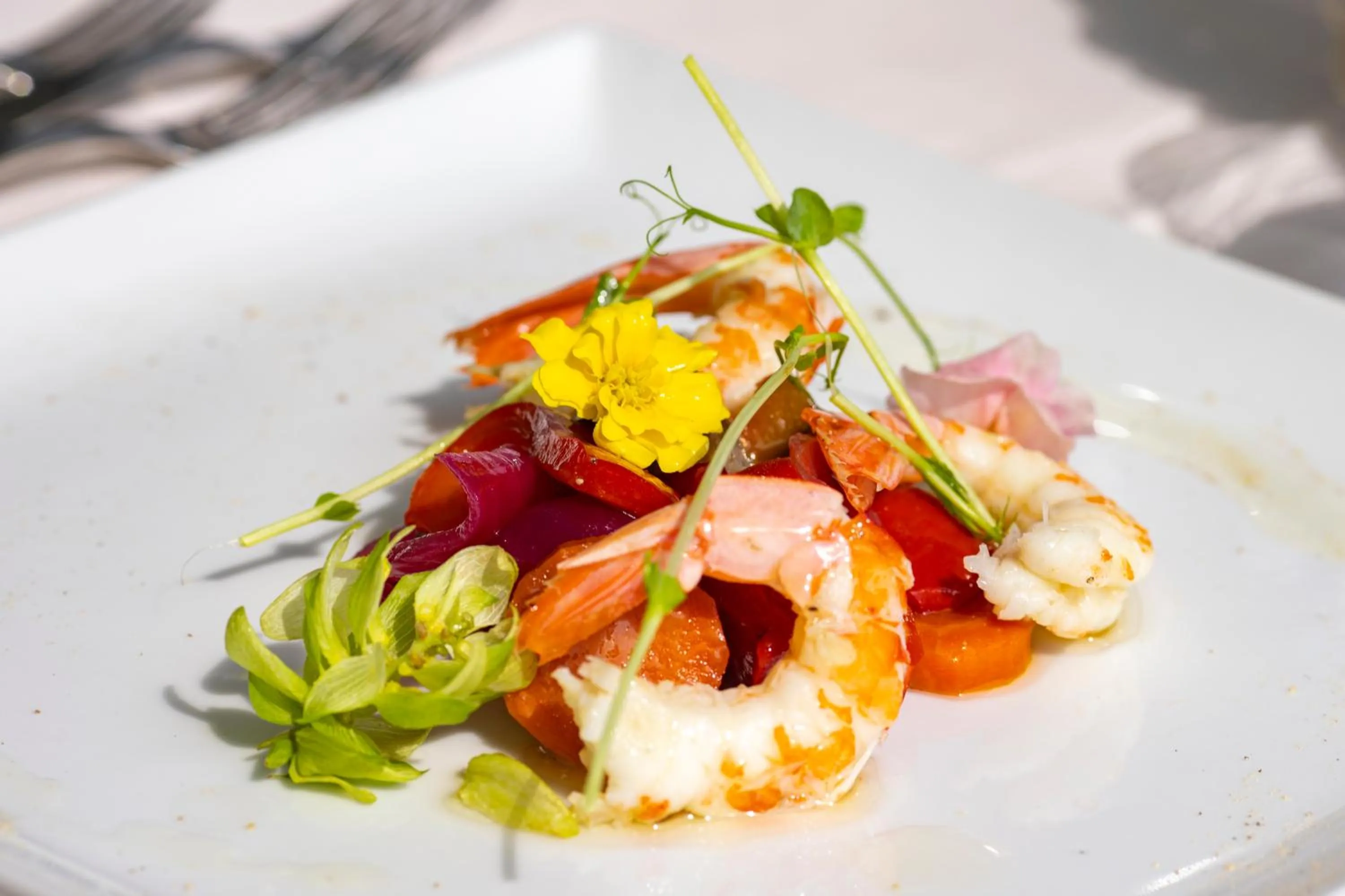 Restaurant/places to eat in Hotel Ariston