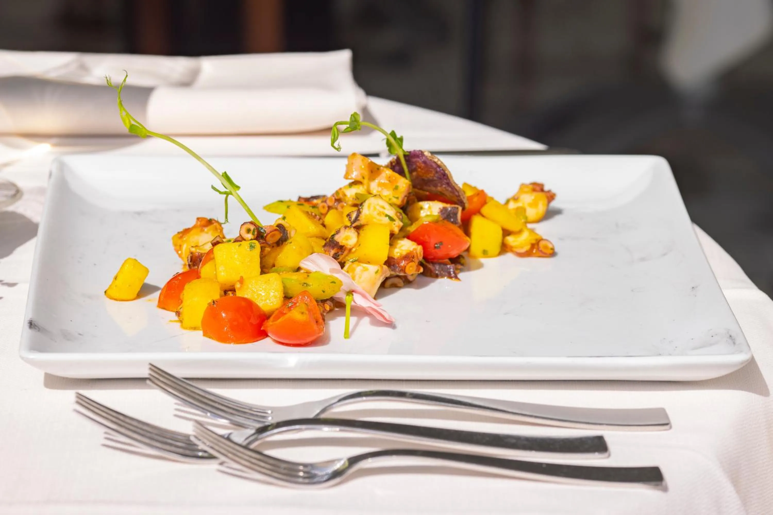 Restaurant/places to eat in Hotel Ariston