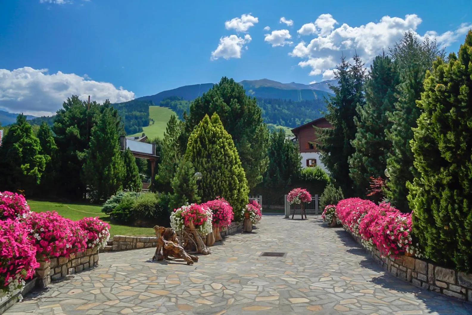 Day in Residence Sci Sport