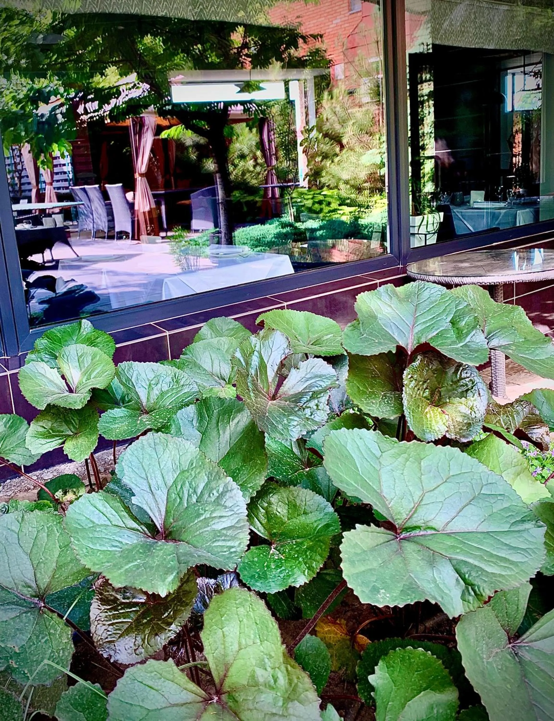 Garden in Villa Four Rooms