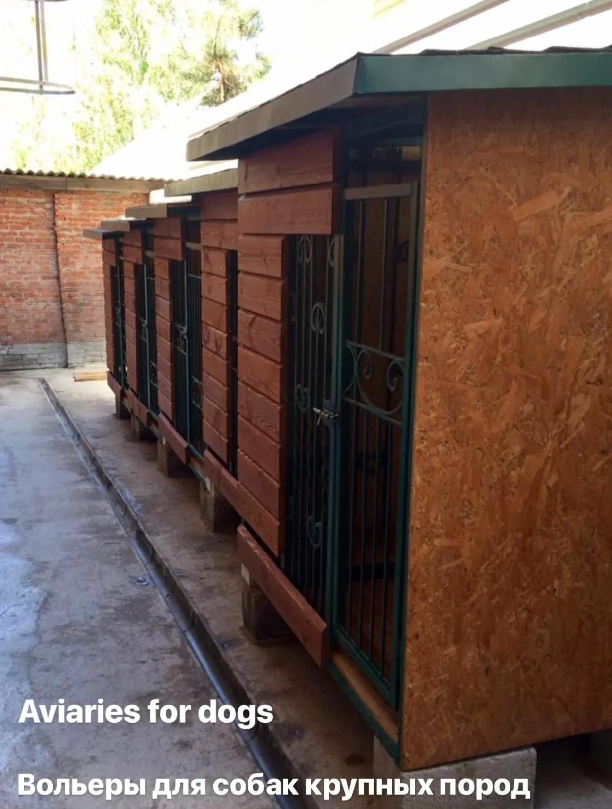 Animals in Villa Four Rooms