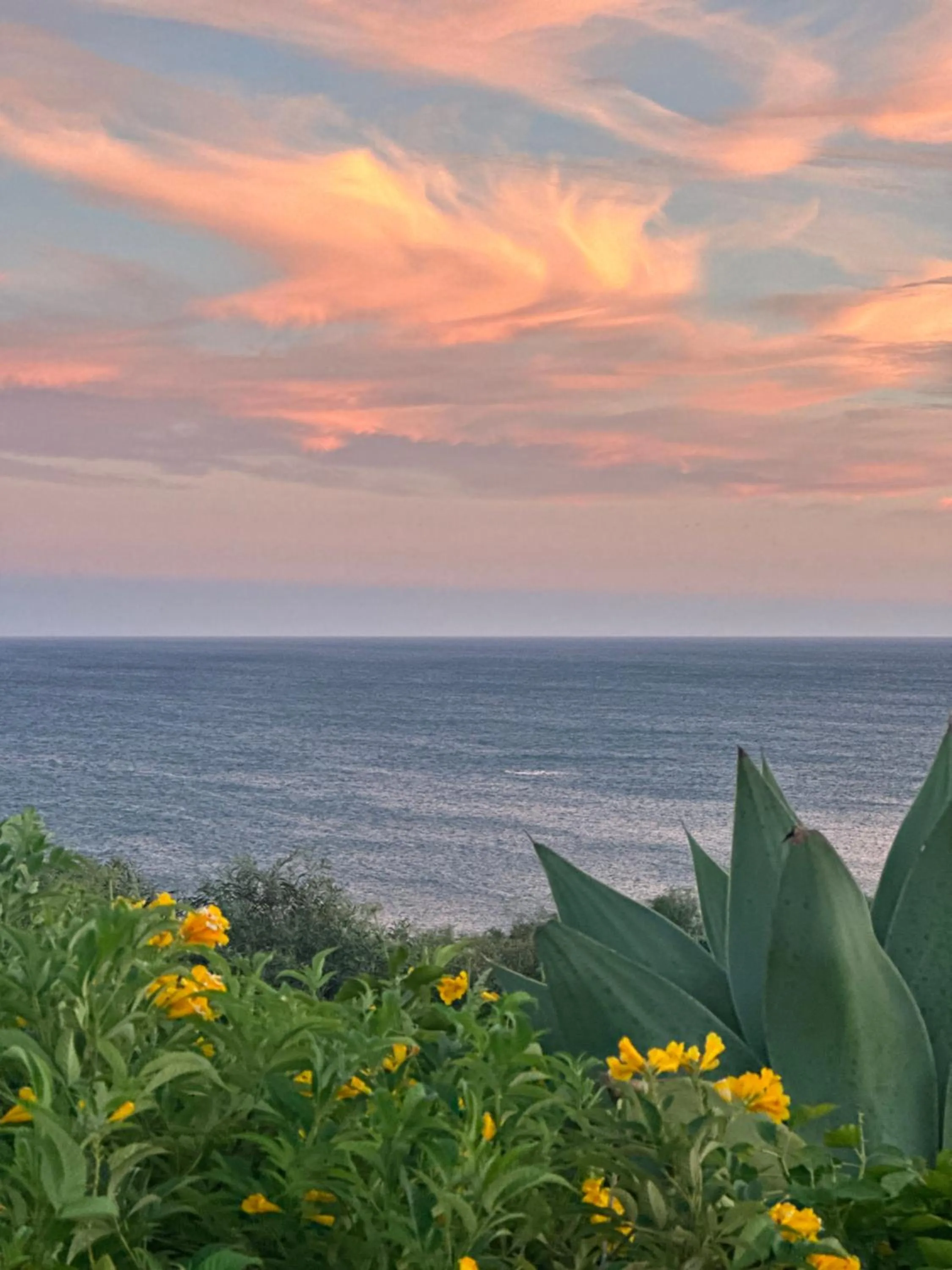 Natural landscape in Vila Luz