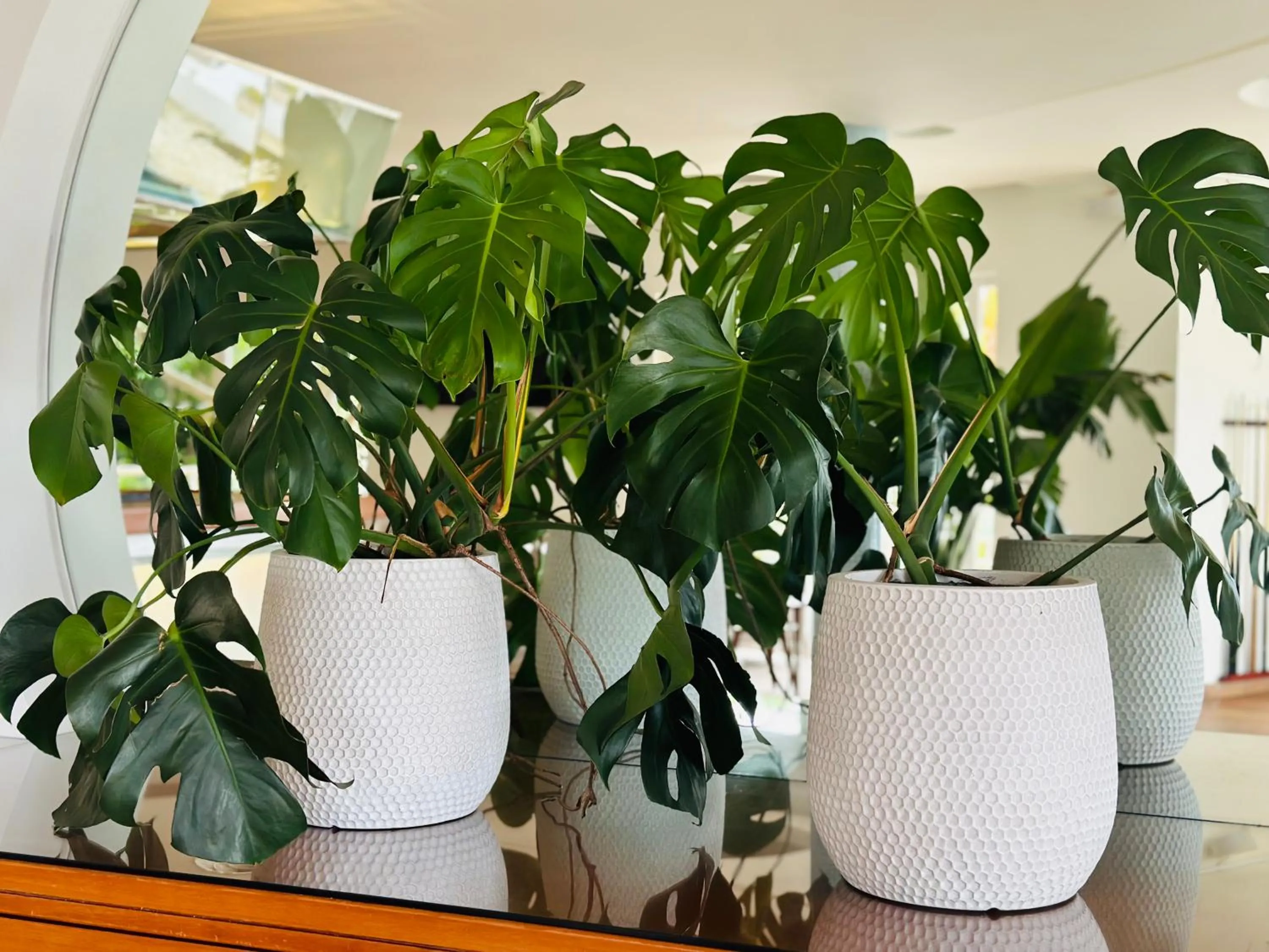 Living room in Vila Luz