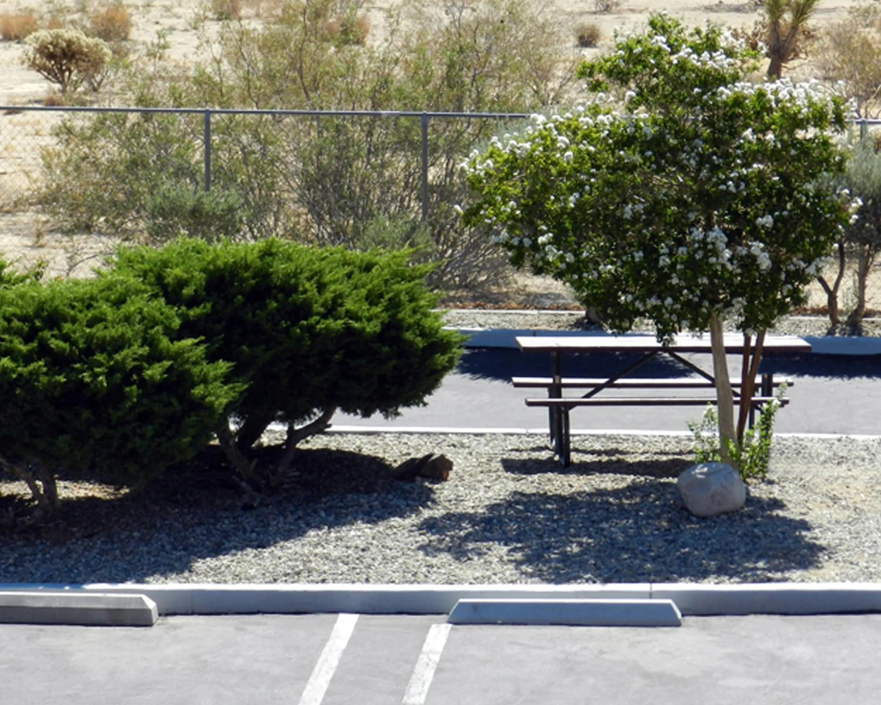 Facade/entrance in High Desert Motel Joshua Tree National Park