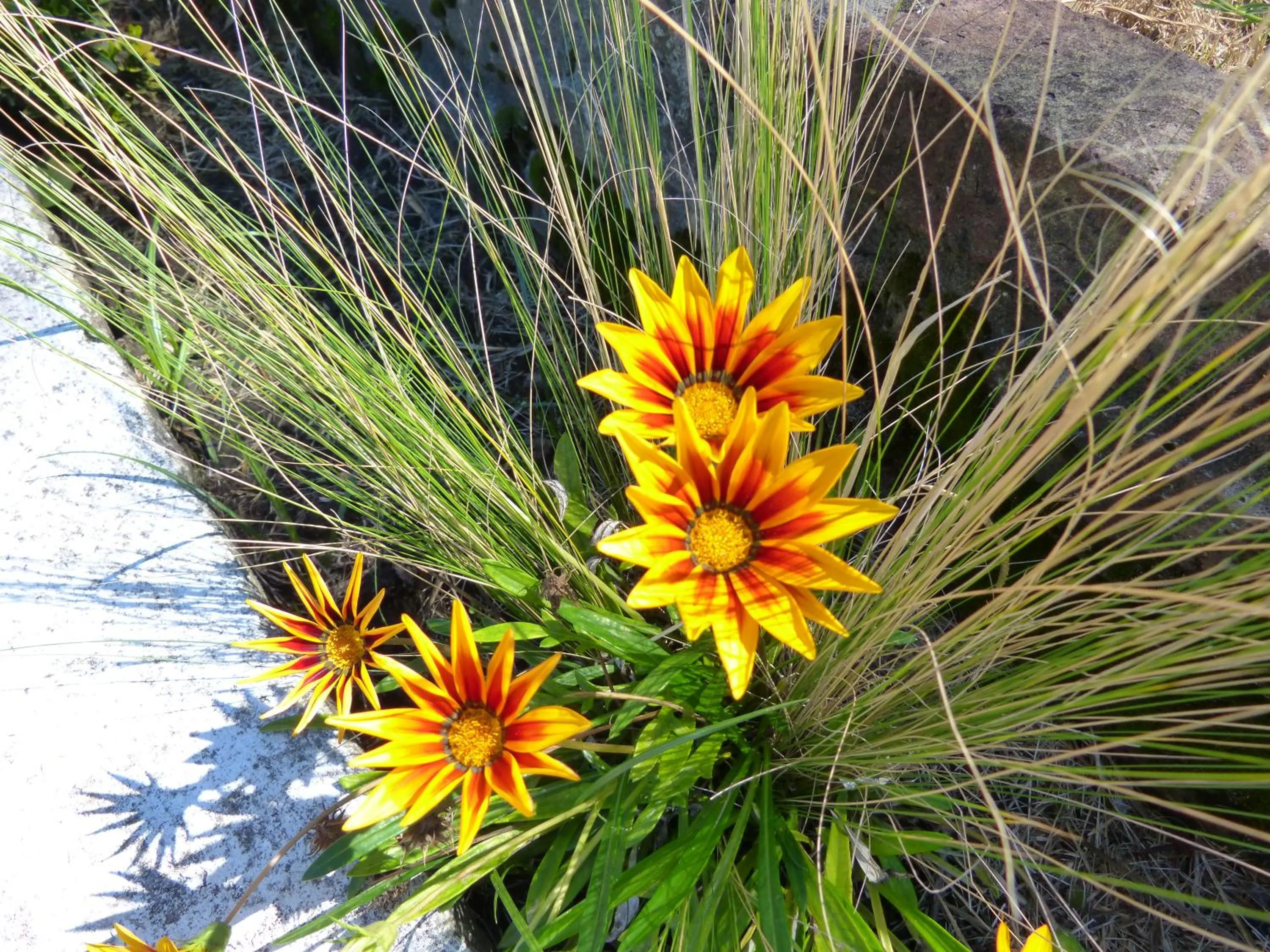 Natural landscape in El Descubrimiento Resort Club