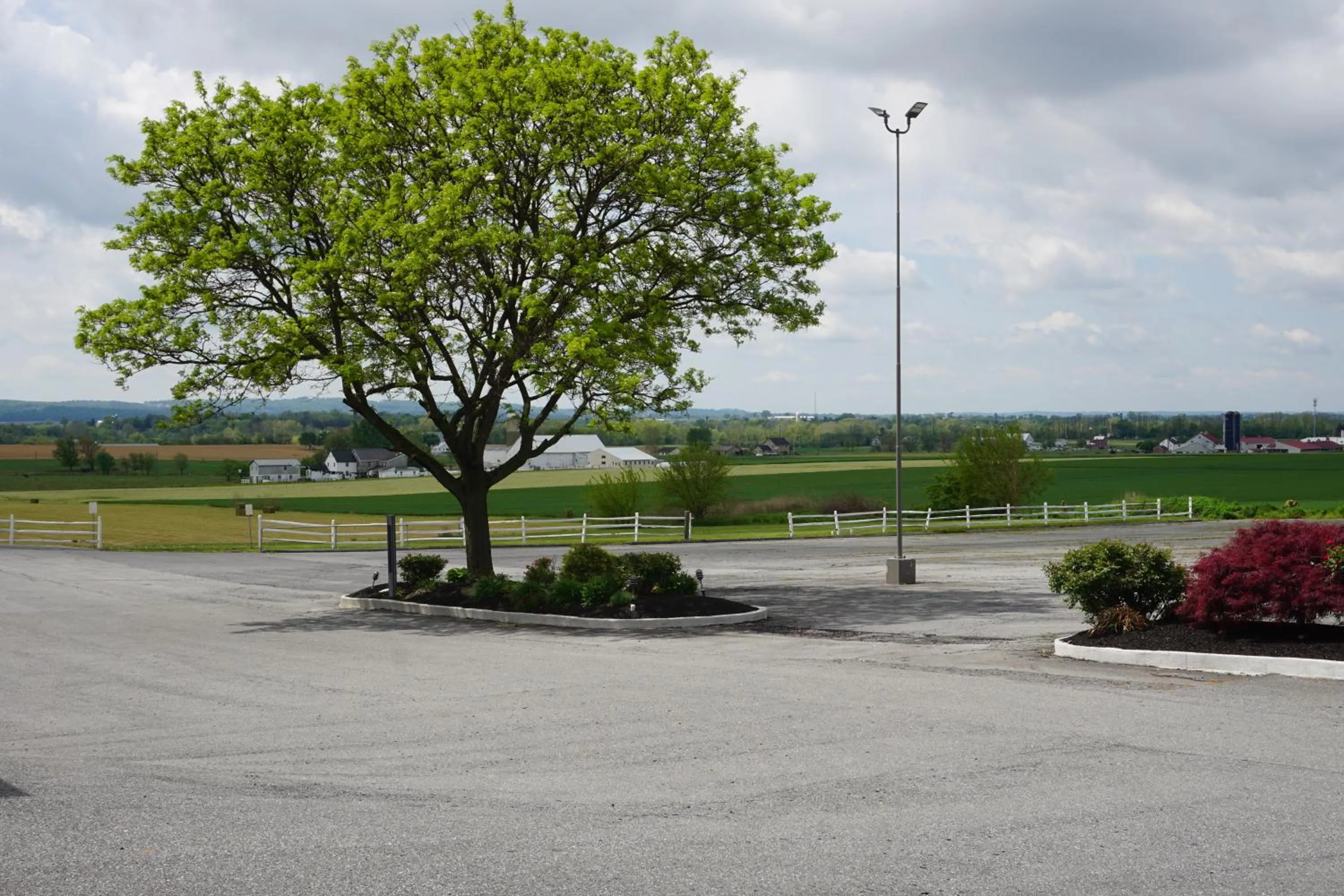 Natural landscape in Harvest Drive Family Inn - Renovated Rooms