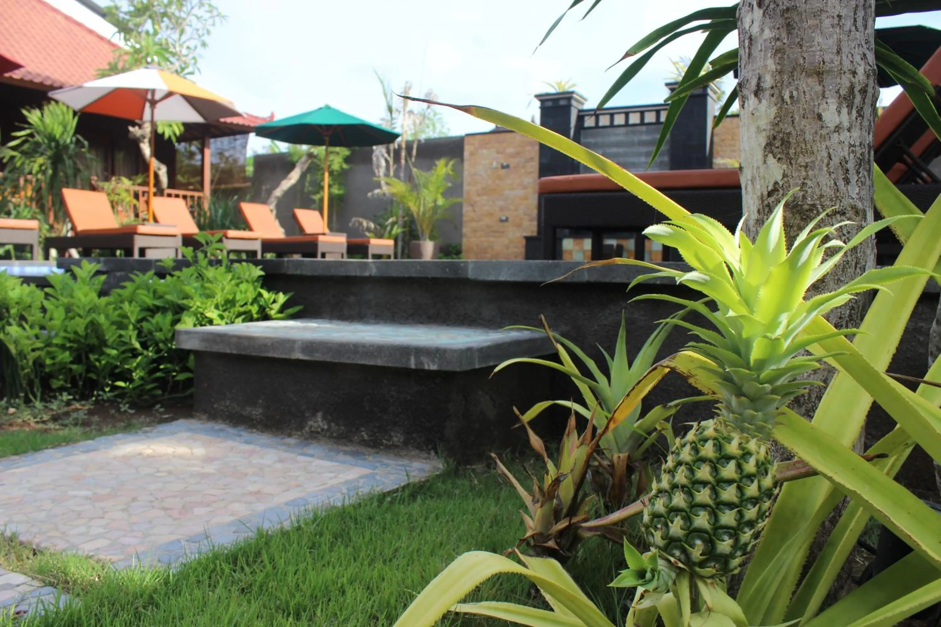 Garden in Pattri Garden Lembongan