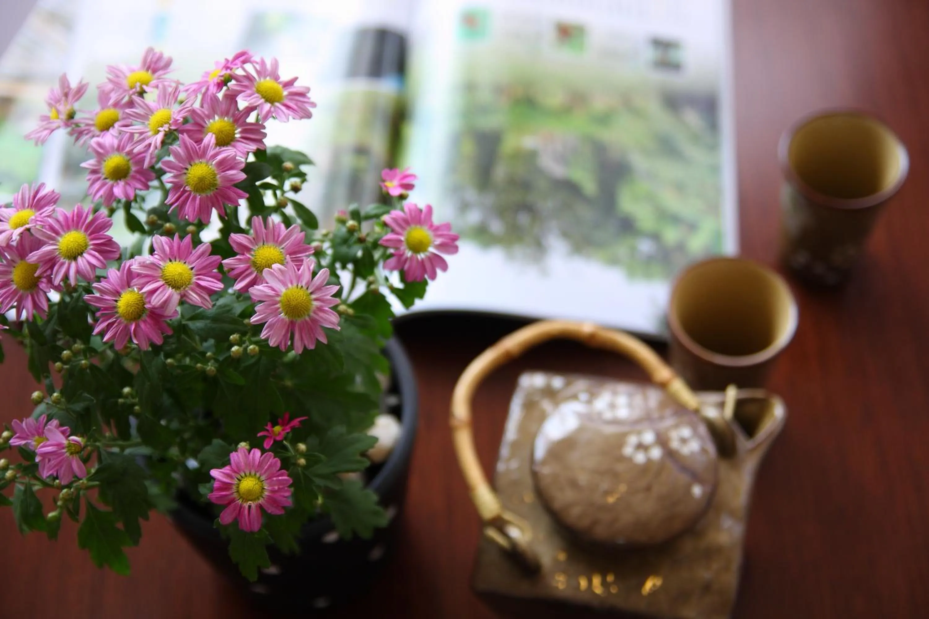 Other in Jimei Homestay