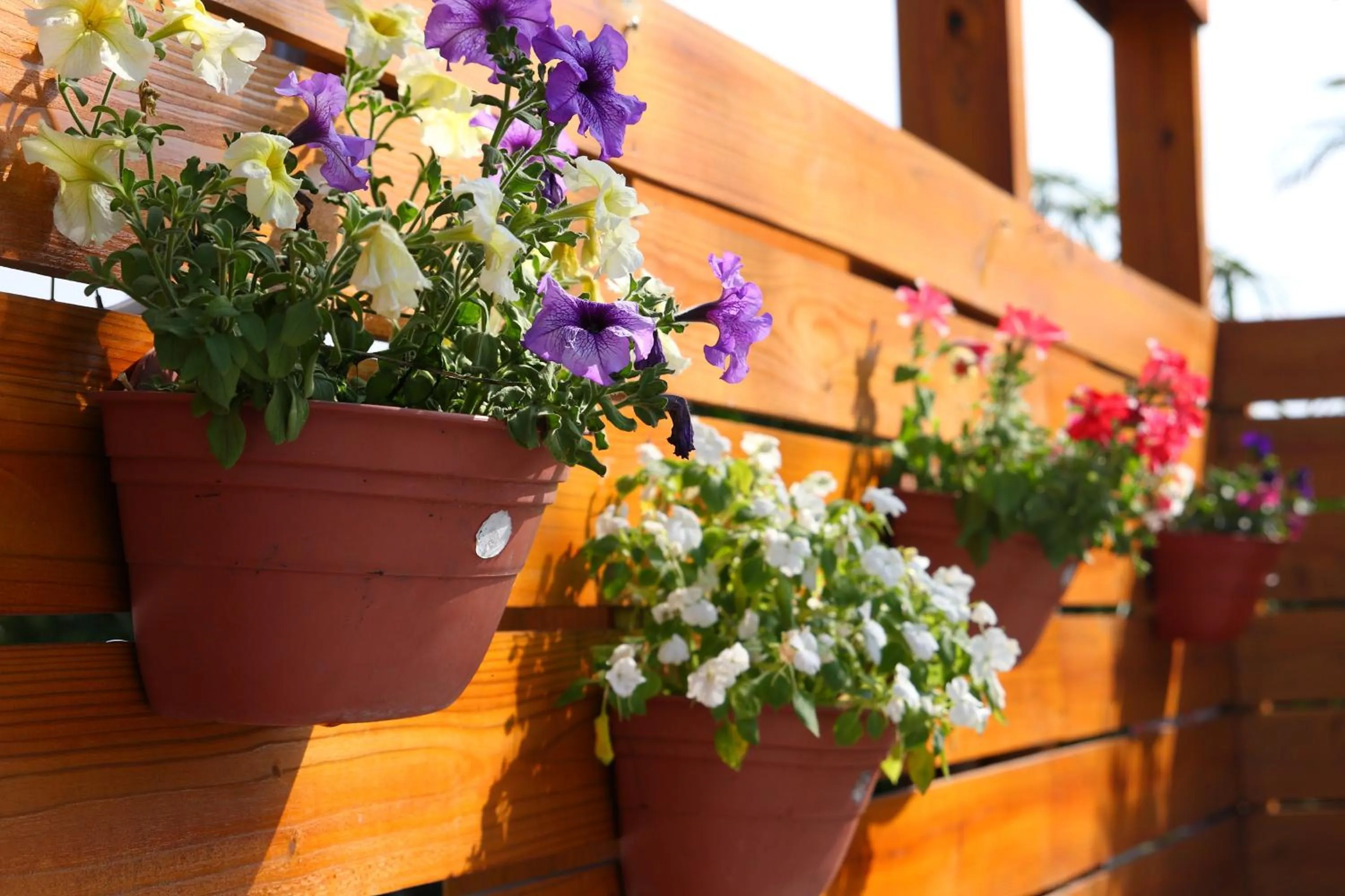 Other in Jimei Homestay