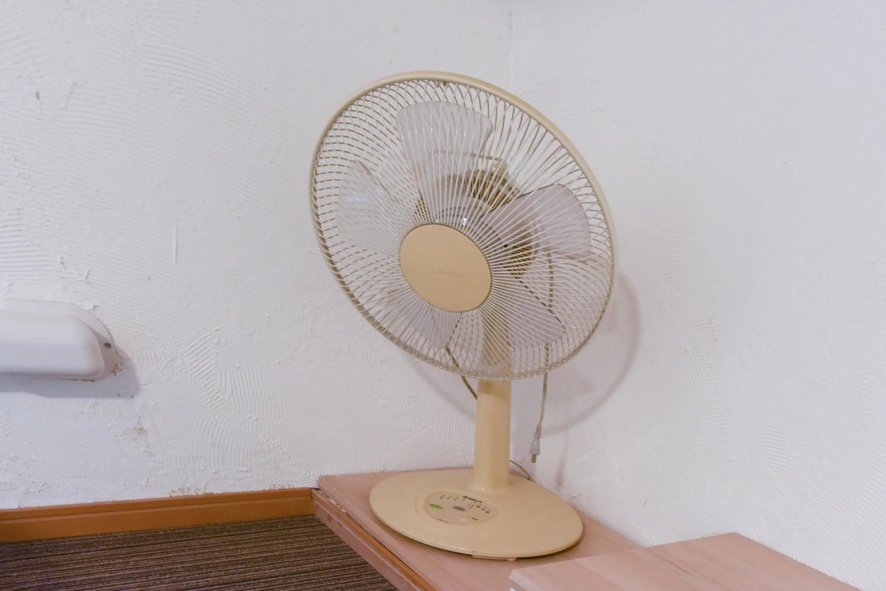 fireplace in Yoyogi House