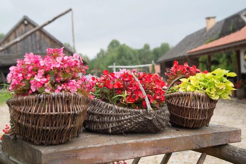 Patio in Gościniec Folwark Nadawki