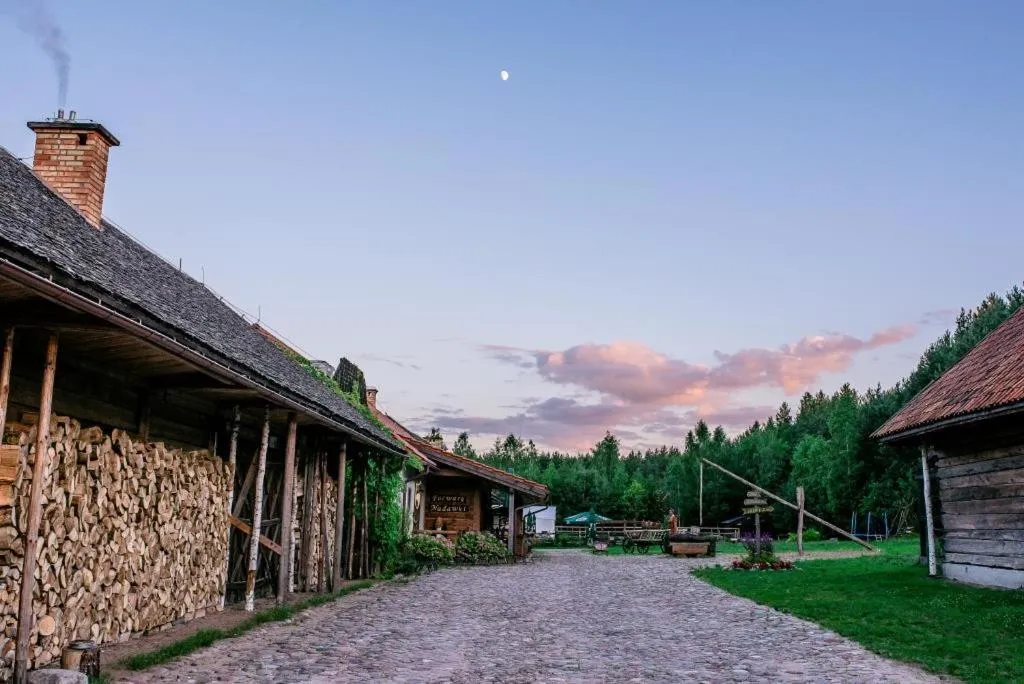 Neighbourhood in Gościniec Folwark Nadawki