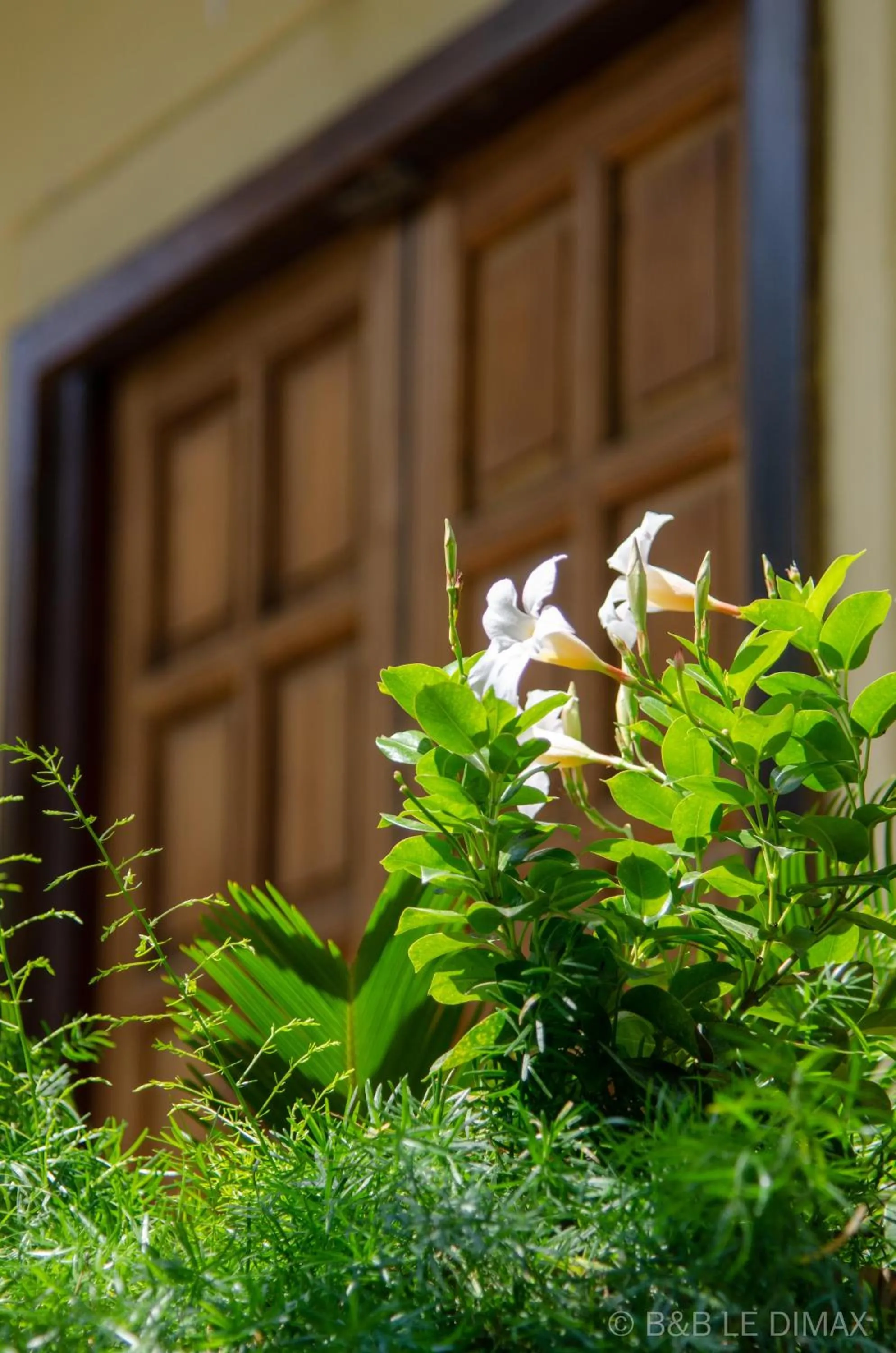 Property building in Le Dimax