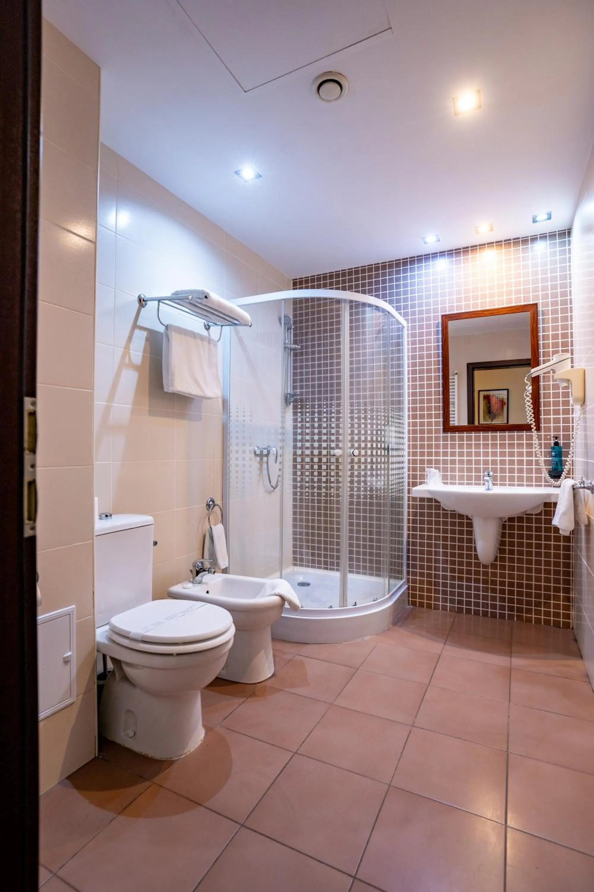 Shower in Hotel Aurelia