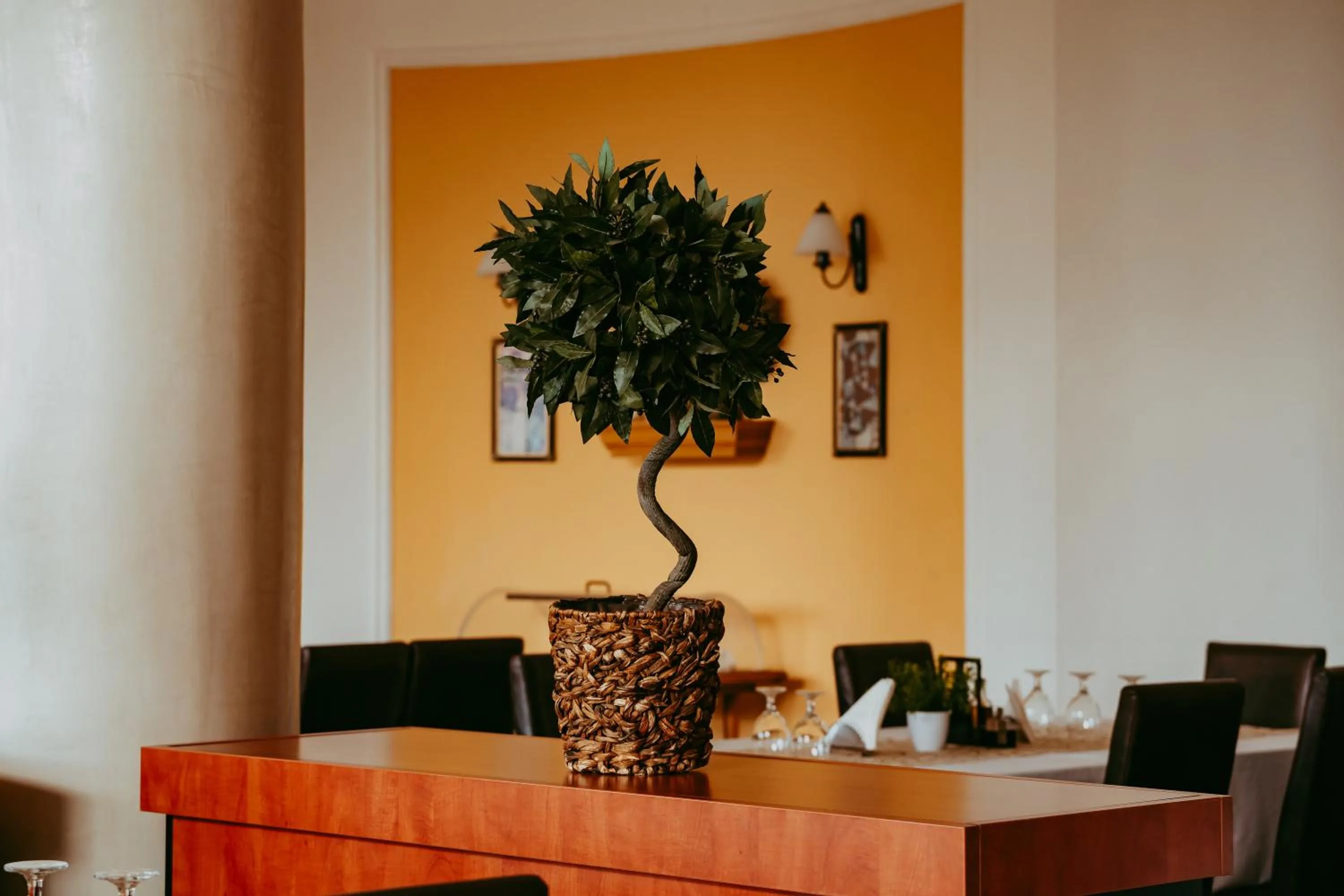 Dining area in Hotel Aurelia