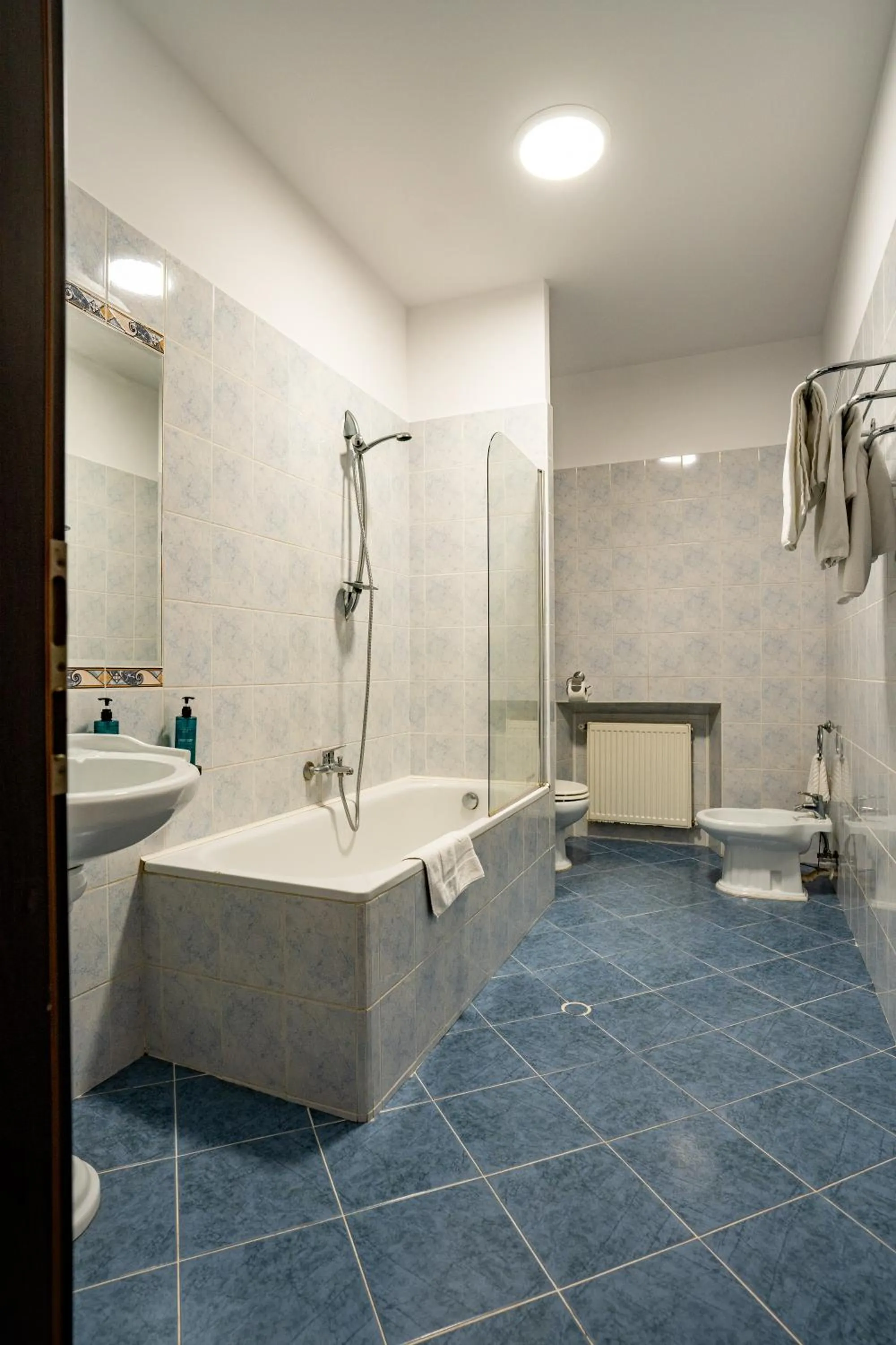 Toilet in Hotel Aurelia