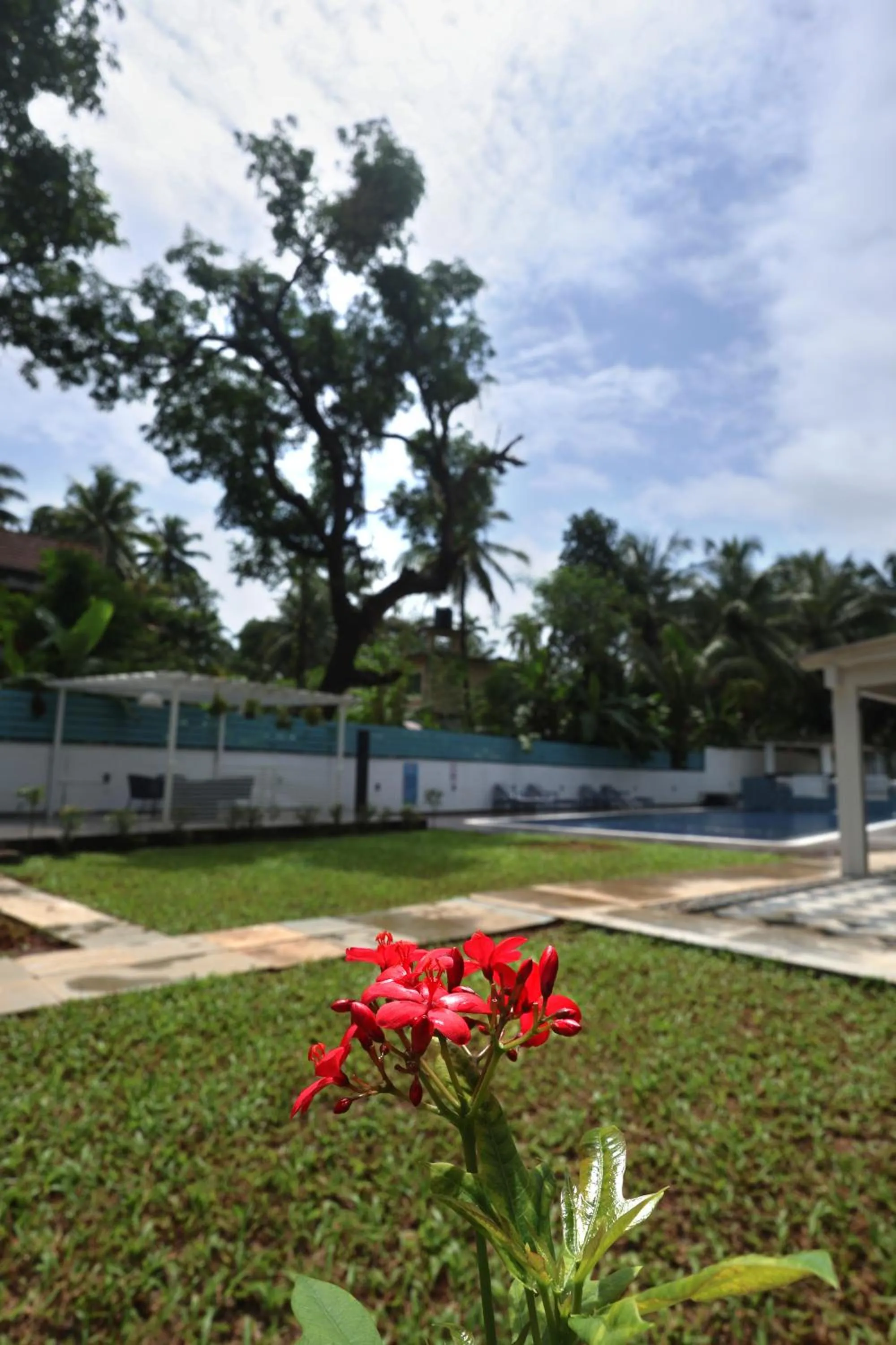 Garden view in Ramada by Wyndham Goa Arpora