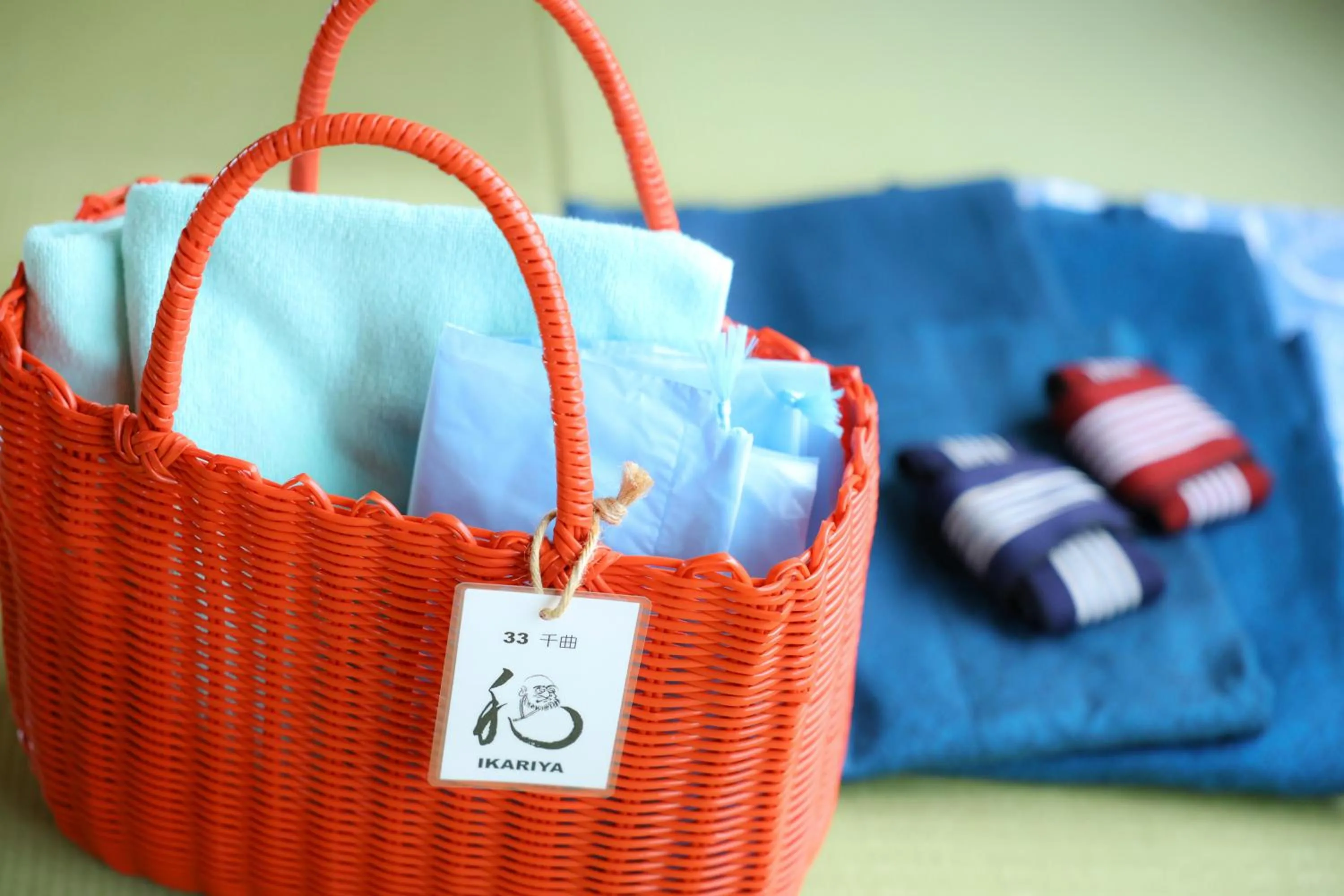 Photo of the whole room in Ikariya Ryokan
