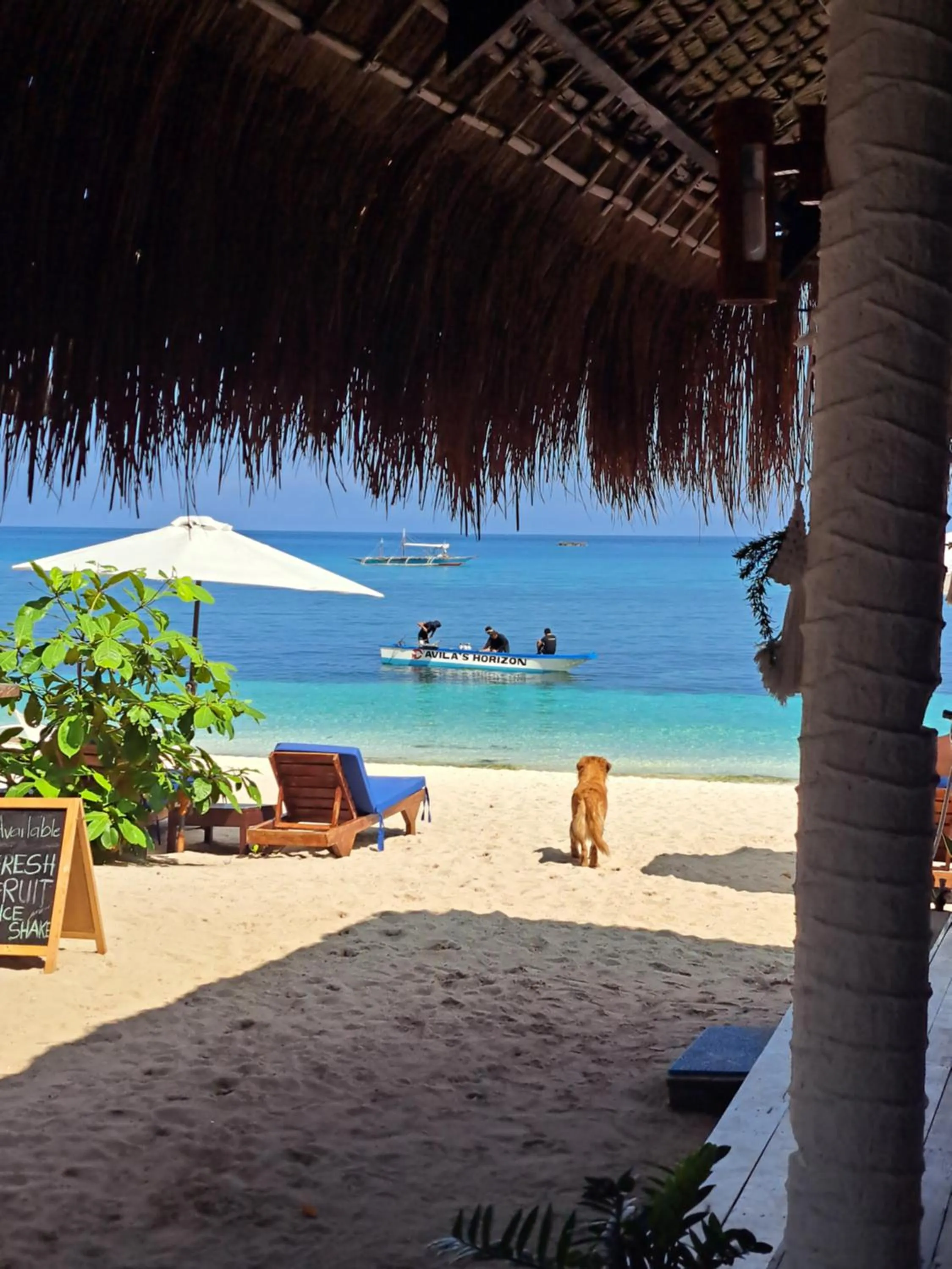 Avila's Horizon Dive Resort Malapascua