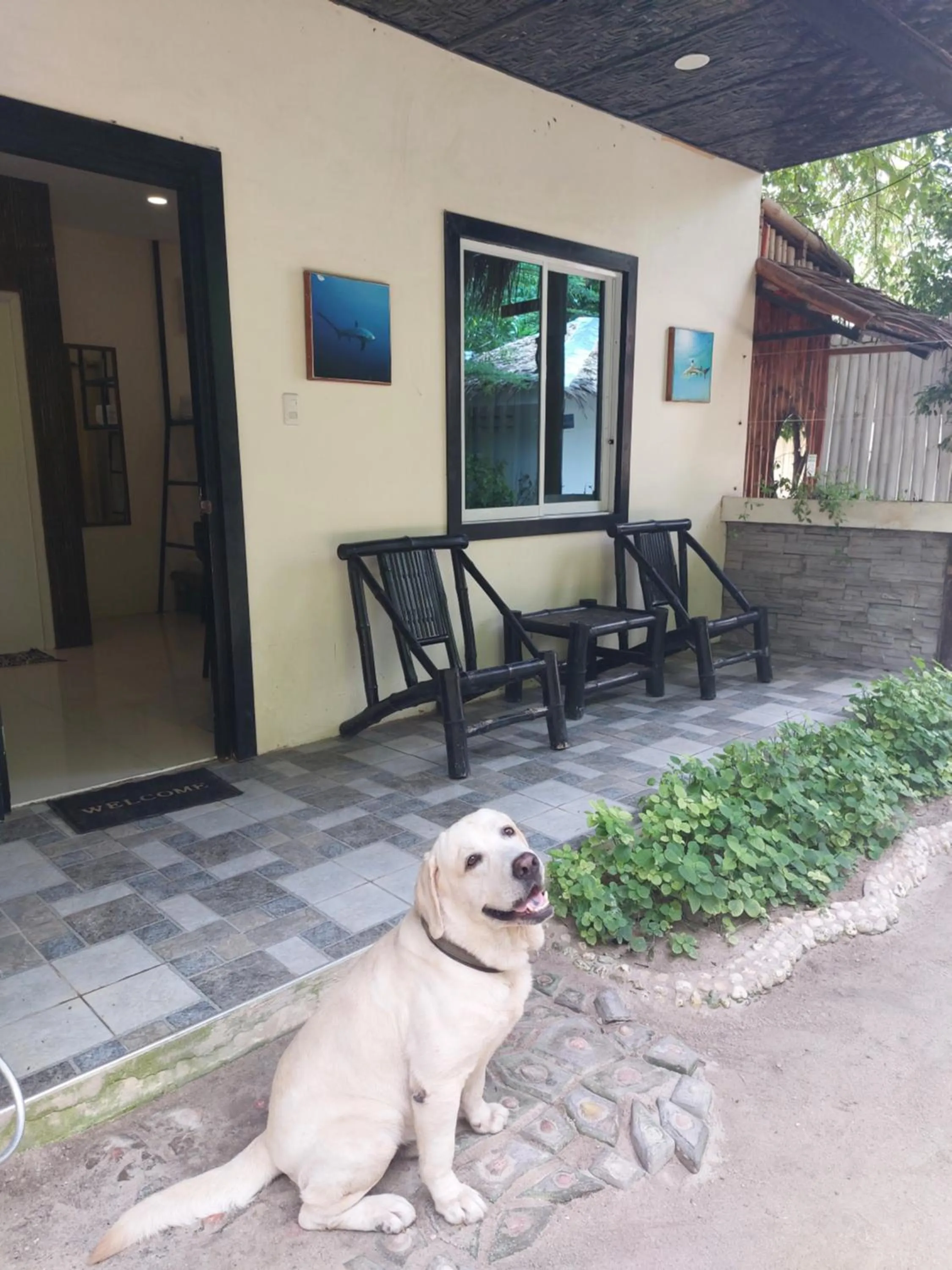 Avila's Horizon Dive Resort Malapascua