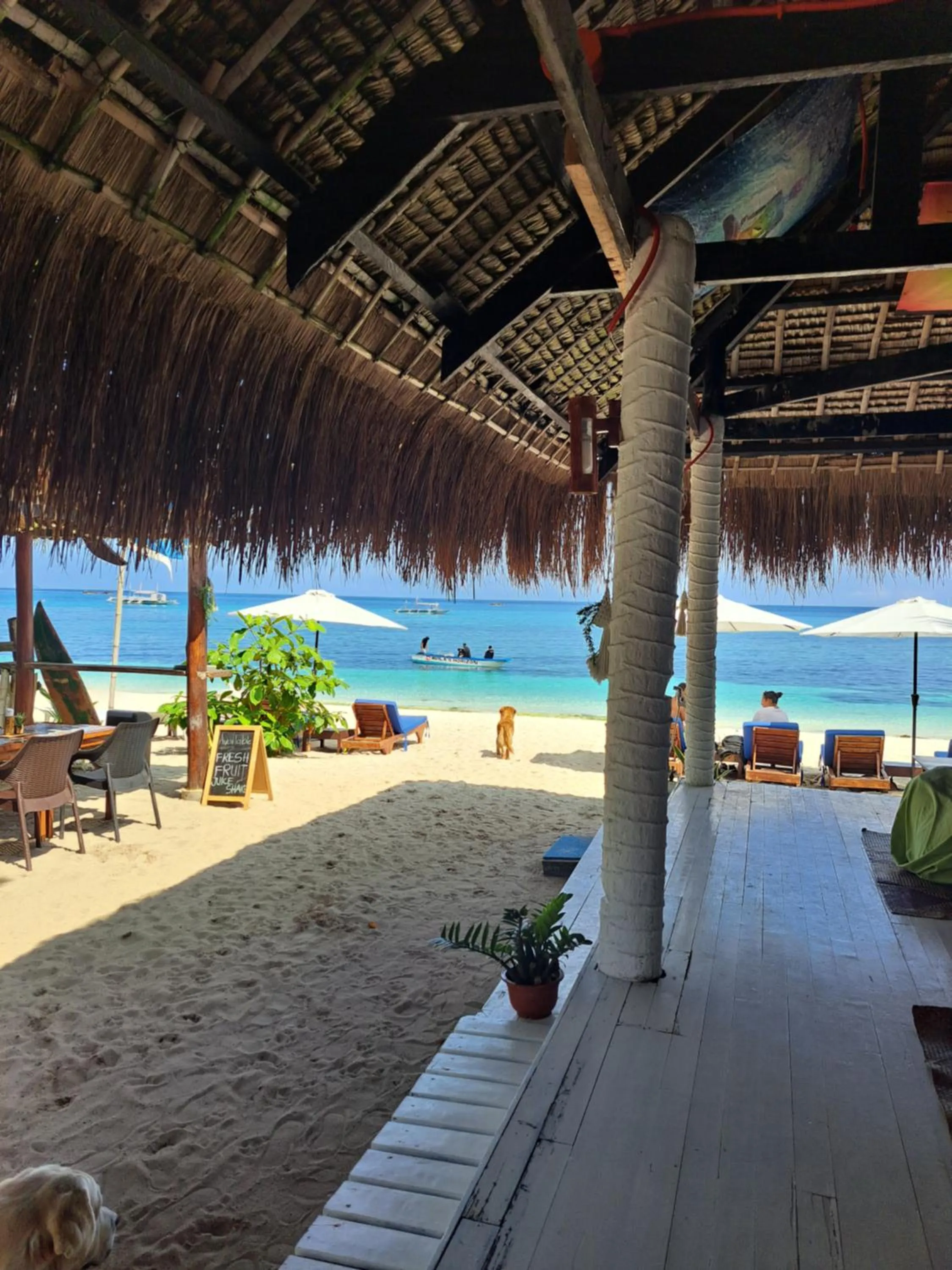 Avila's Horizon Dive Resort Malapascua