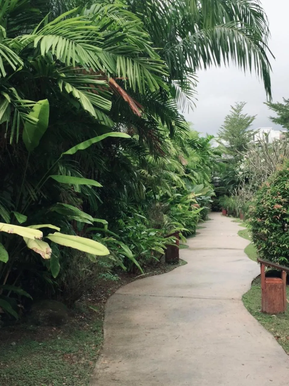 View (from property/room) in Phukamala Suite