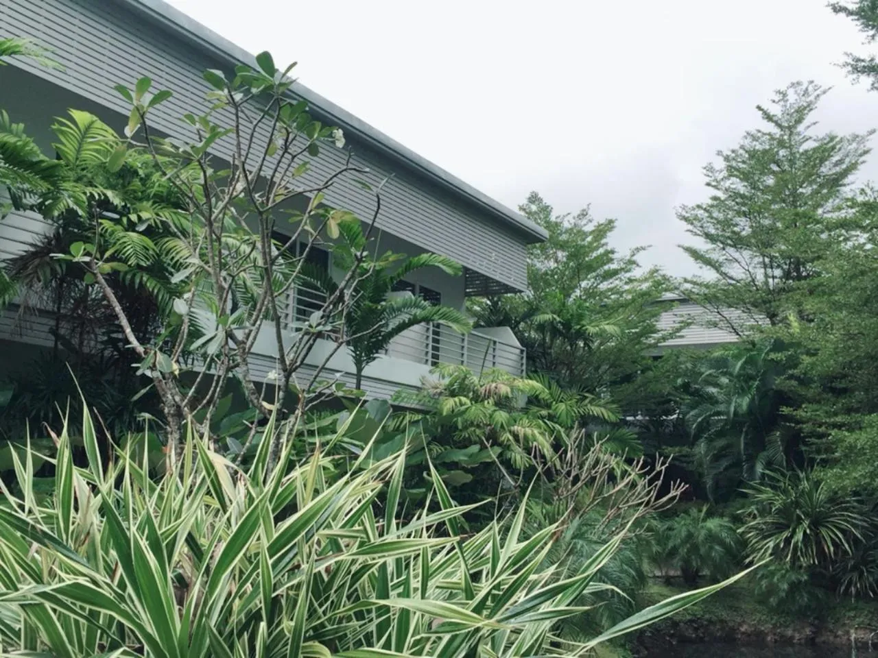 View (from property/room) in Phukamala Suite