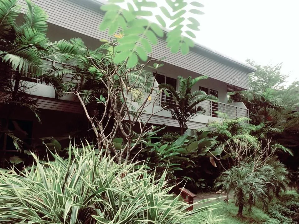 View (from property/room) in Phukamala Suite