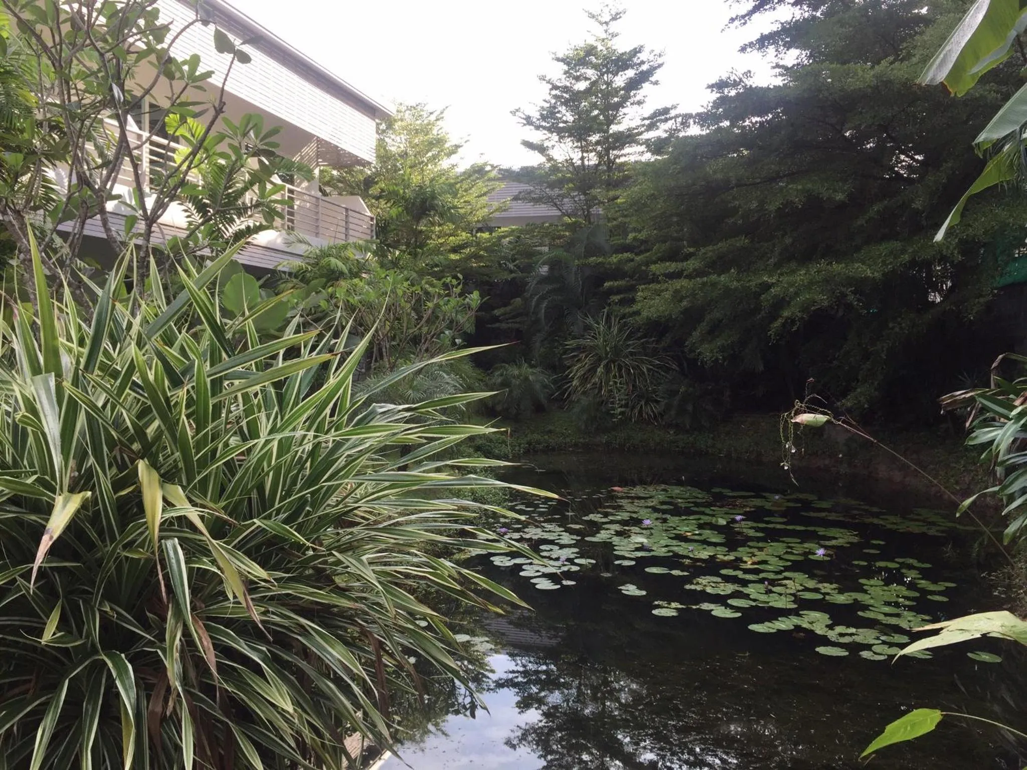 View (from property/room) in Phukamala Suite