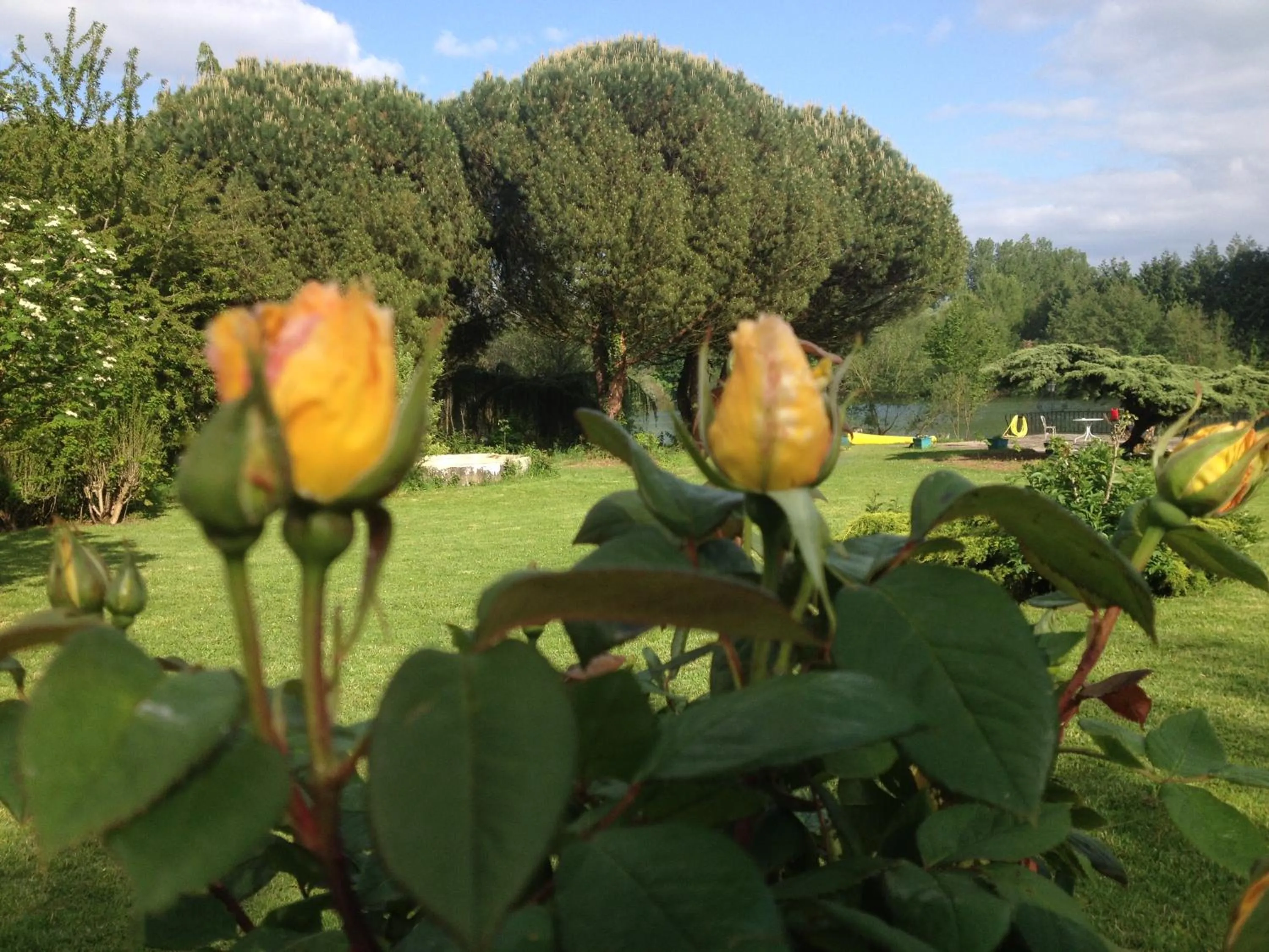 Garden view in La maison du lac