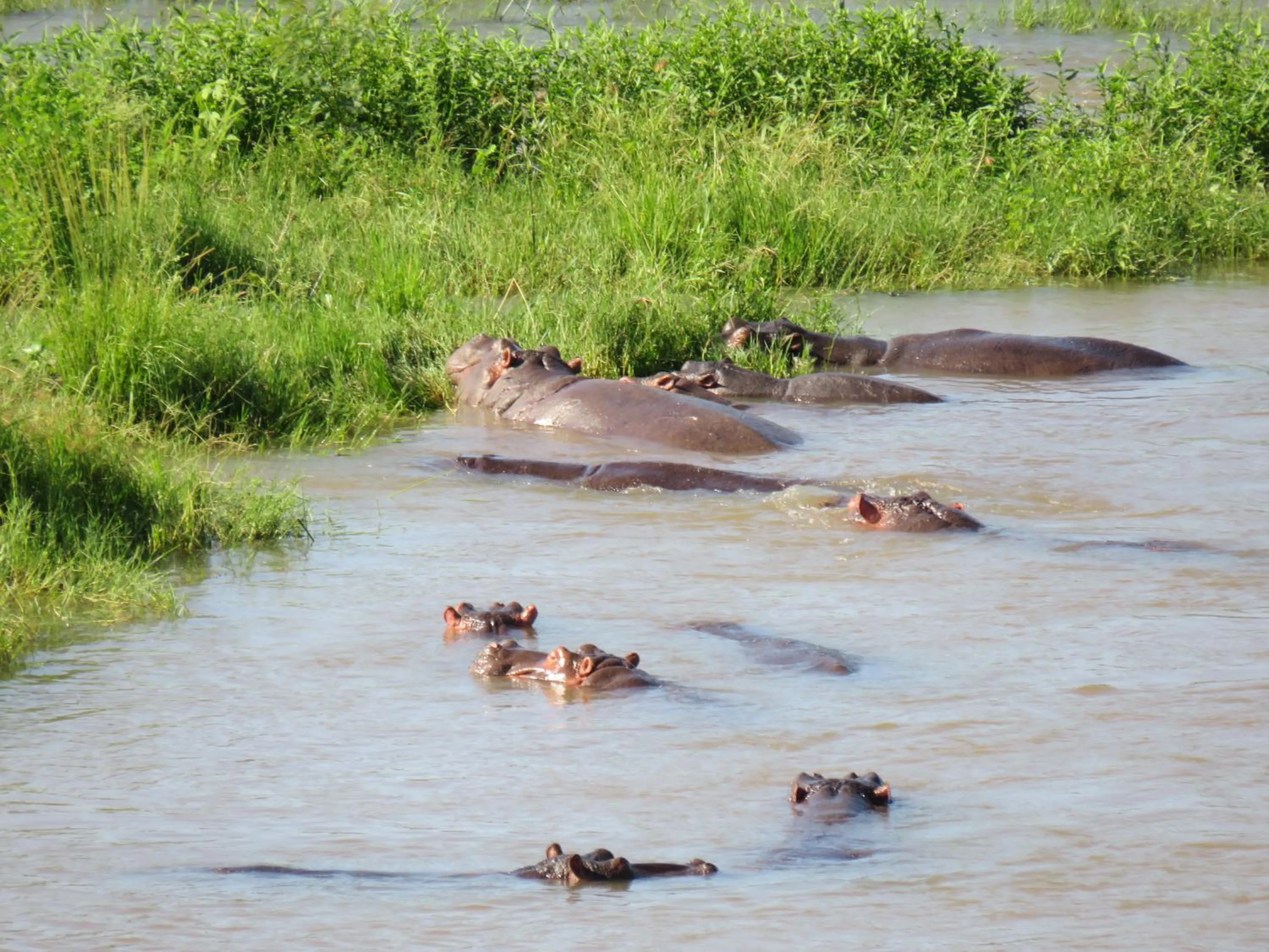 River view in Riverview Inn