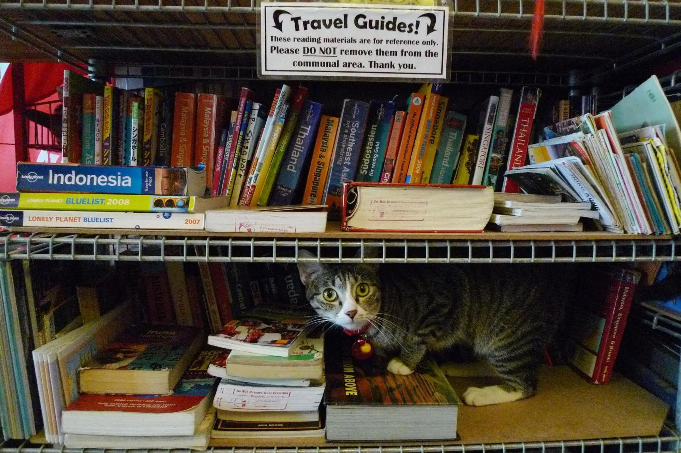 Communal lounge/ TV room in Betel Box Backpackers Hostel