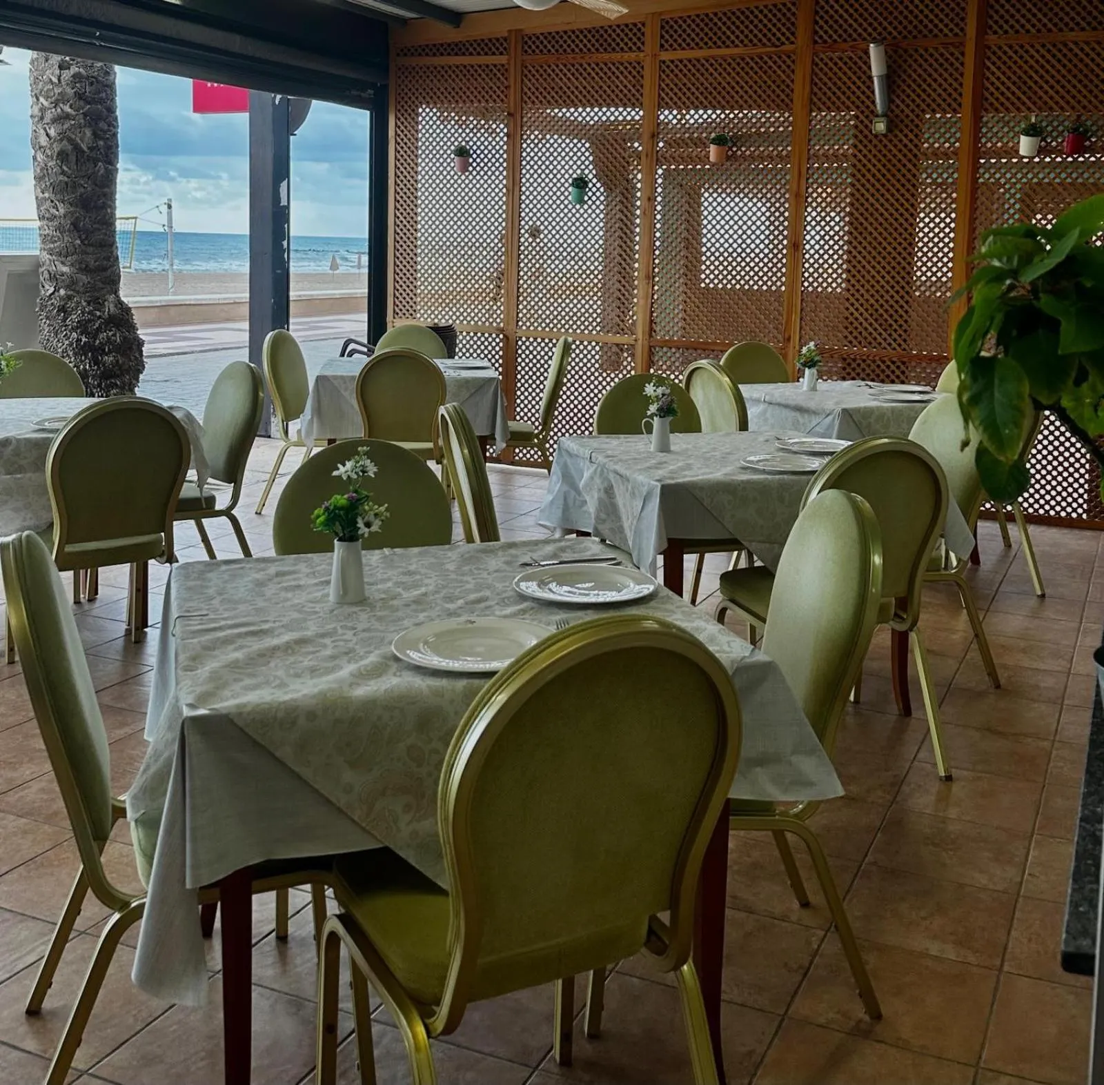Restaurant/places to eat in Hotel La Familia