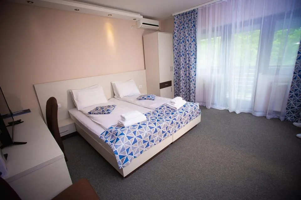 Deluxe Double or Twin Room with Balcony in Hotel Danica