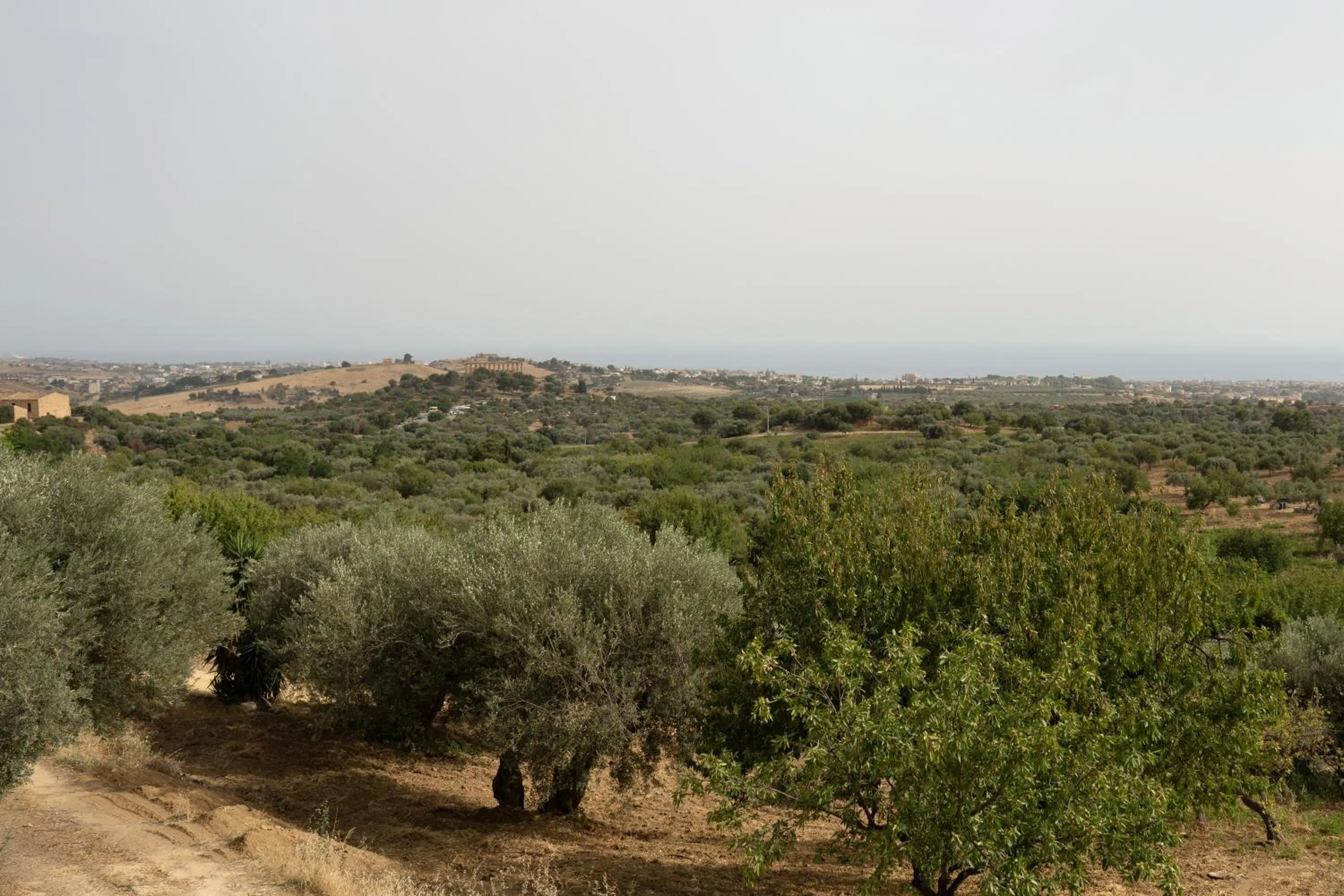 Nearby landmark in Capinera