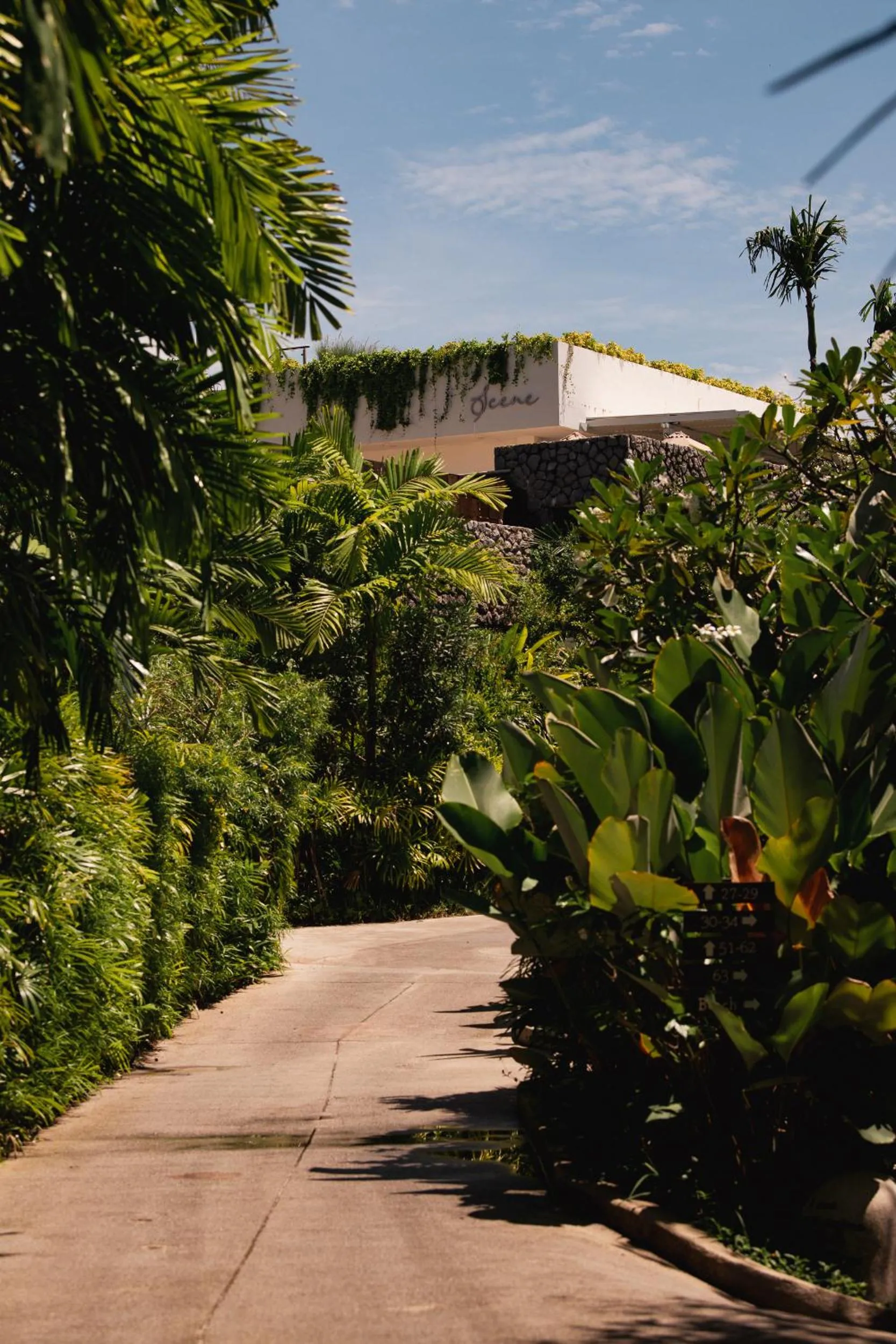 Garden in Amatara Welleisure Resort