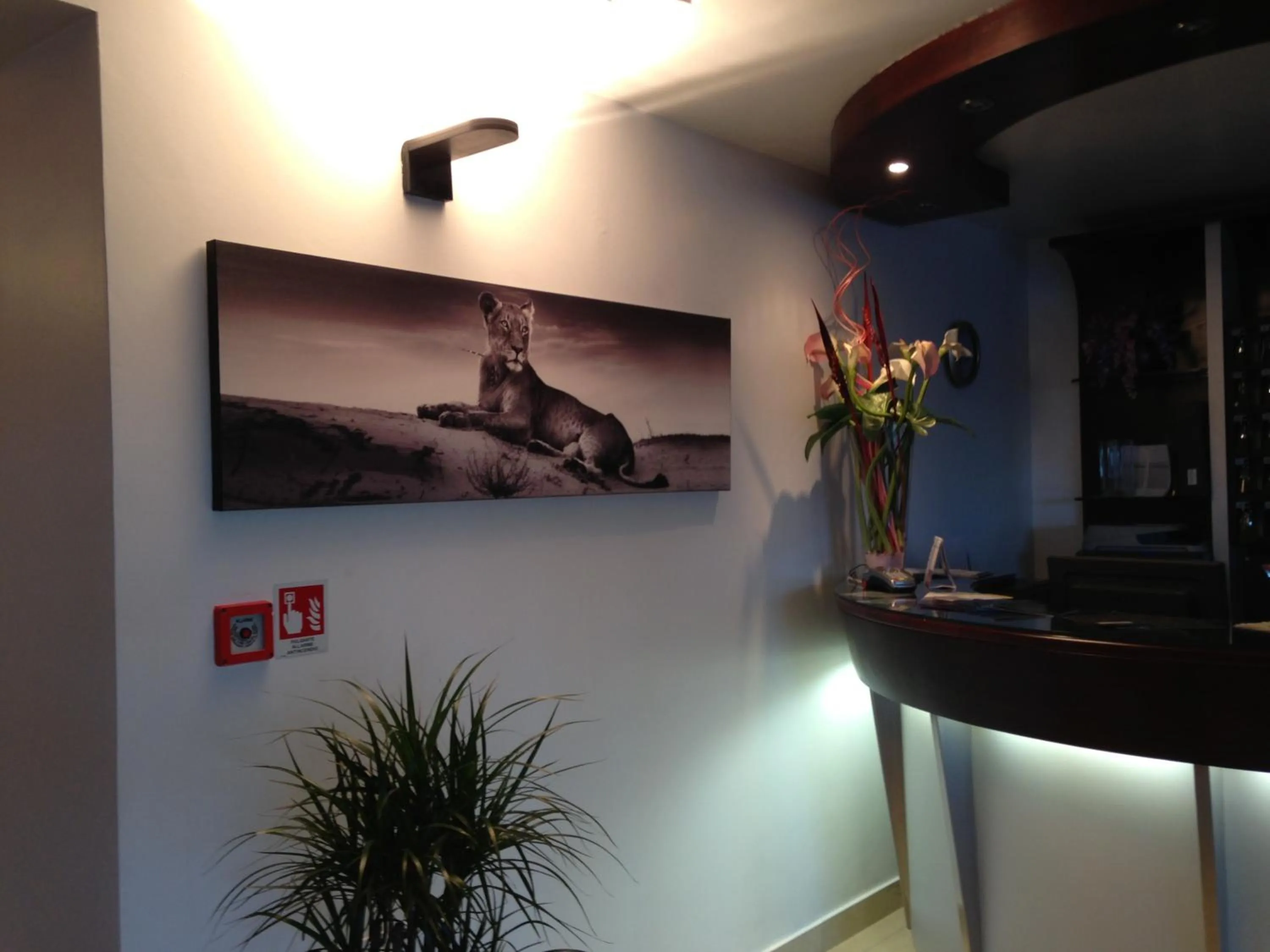 Lobby or reception in Hotel Centrale