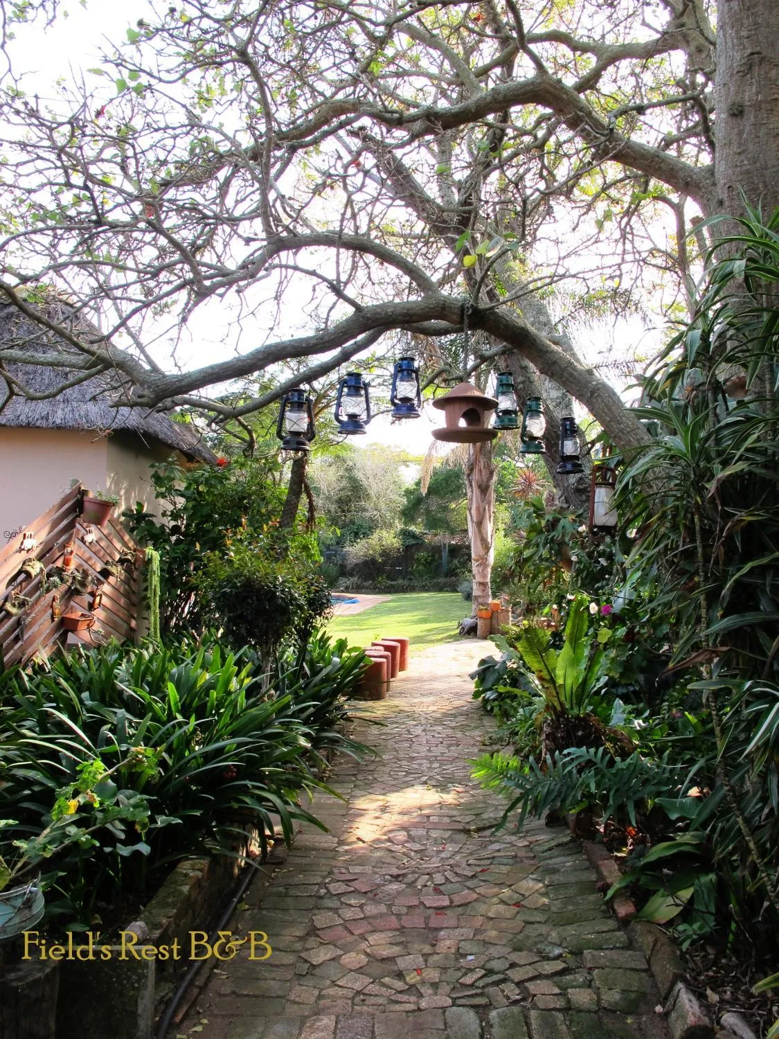 Garden in Field's Rest