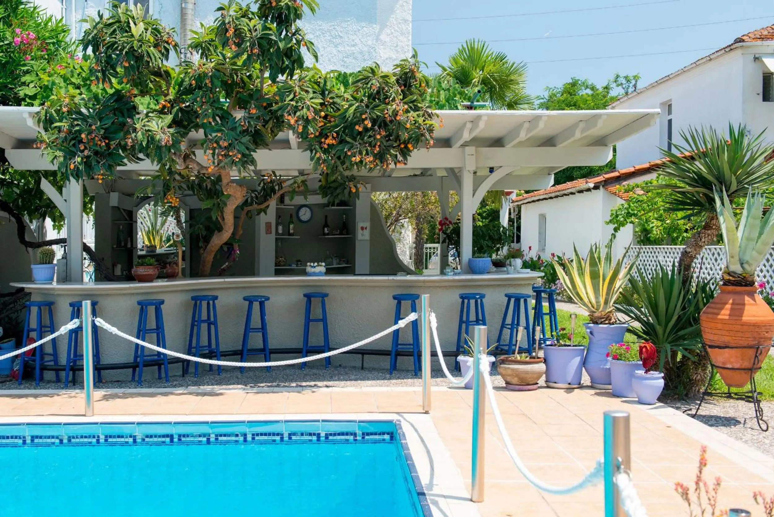 Garden in Hotel George