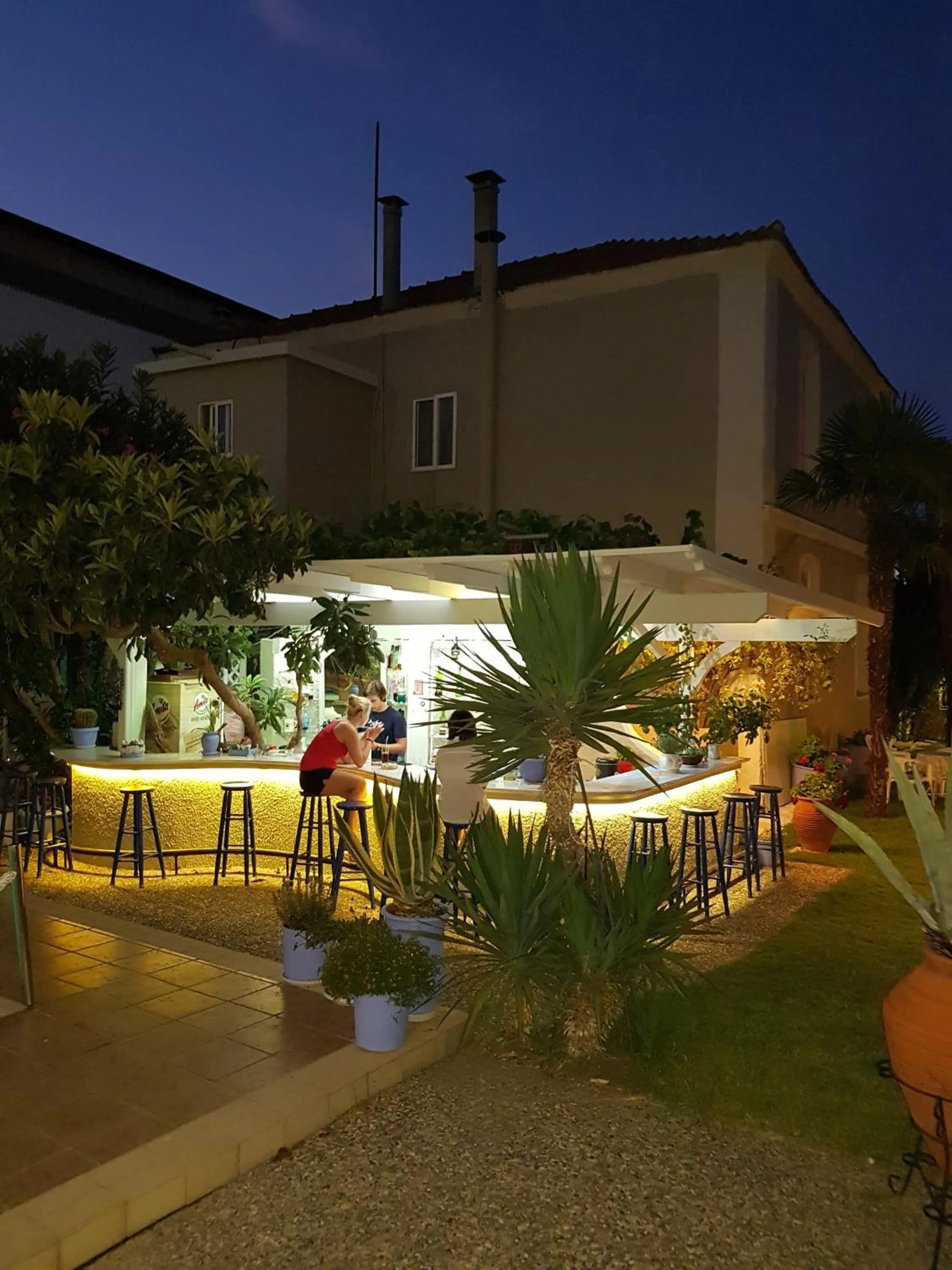 Garden in Hotel George