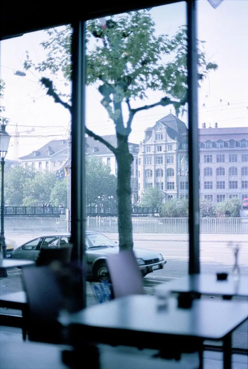 Lounge or bar in Hotel Limmatblick