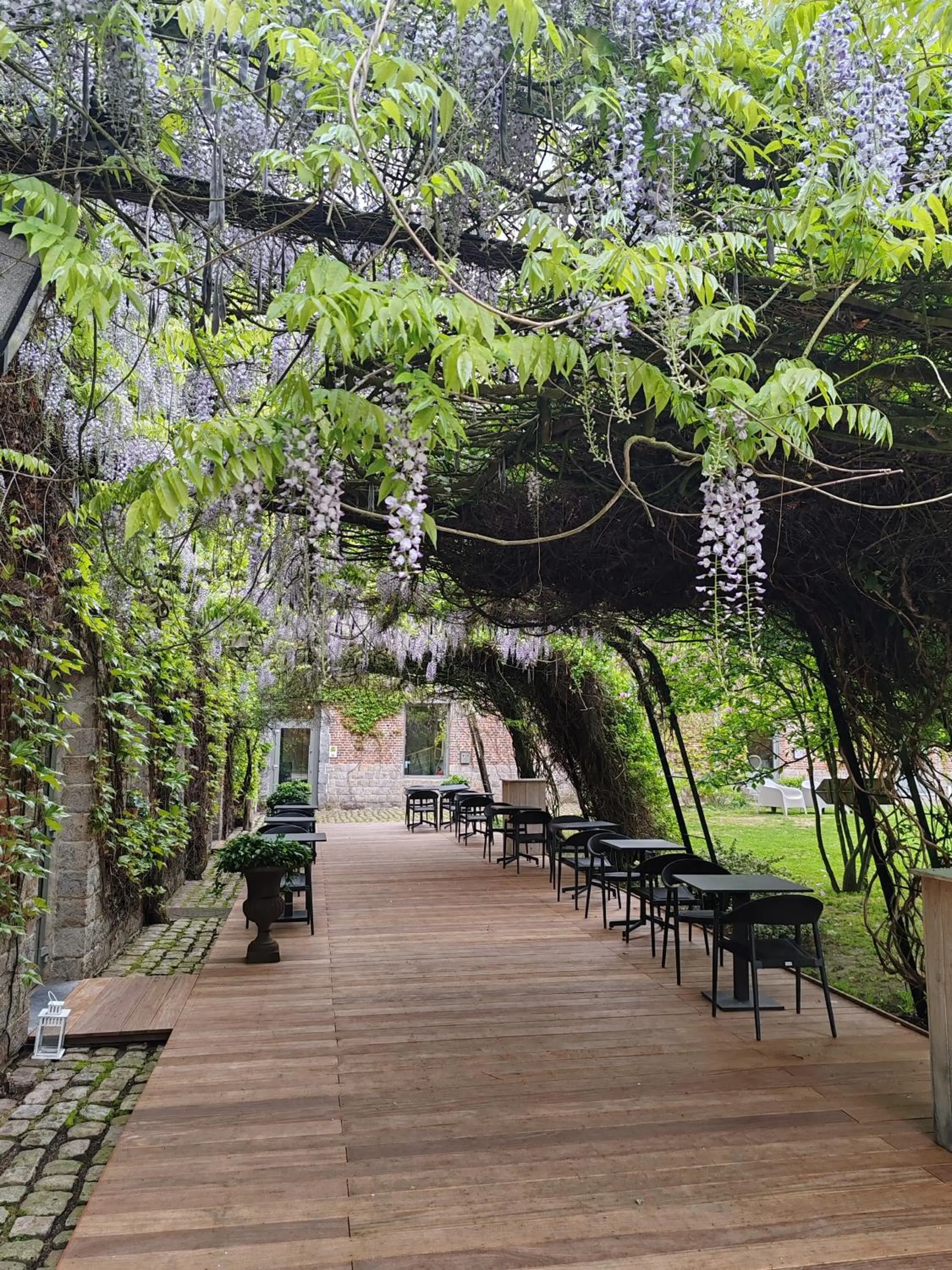 Patio in LOGIS-Hôtel-Restaurant La Gentilhommière