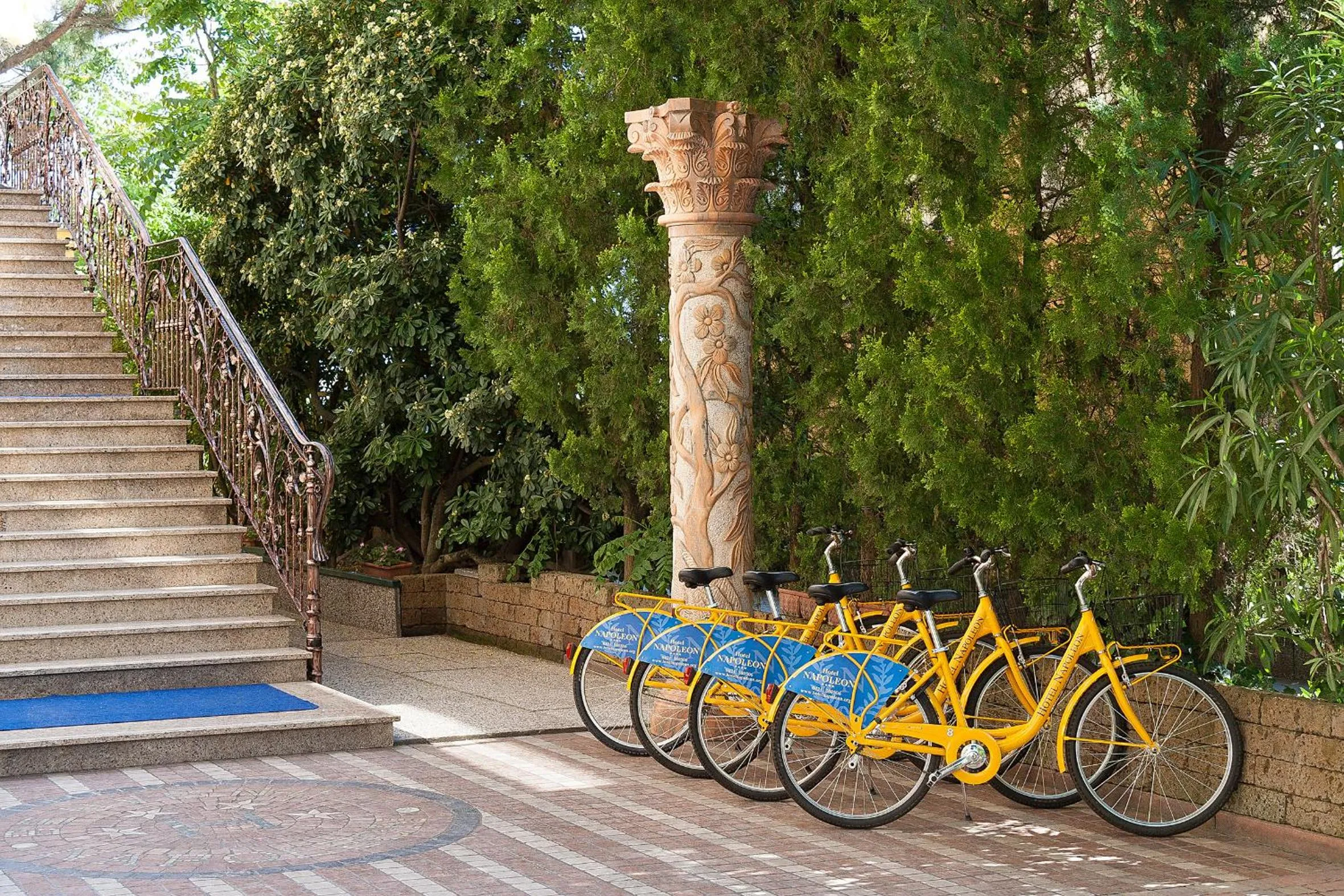 Area and facilities in Hotel Napoleon